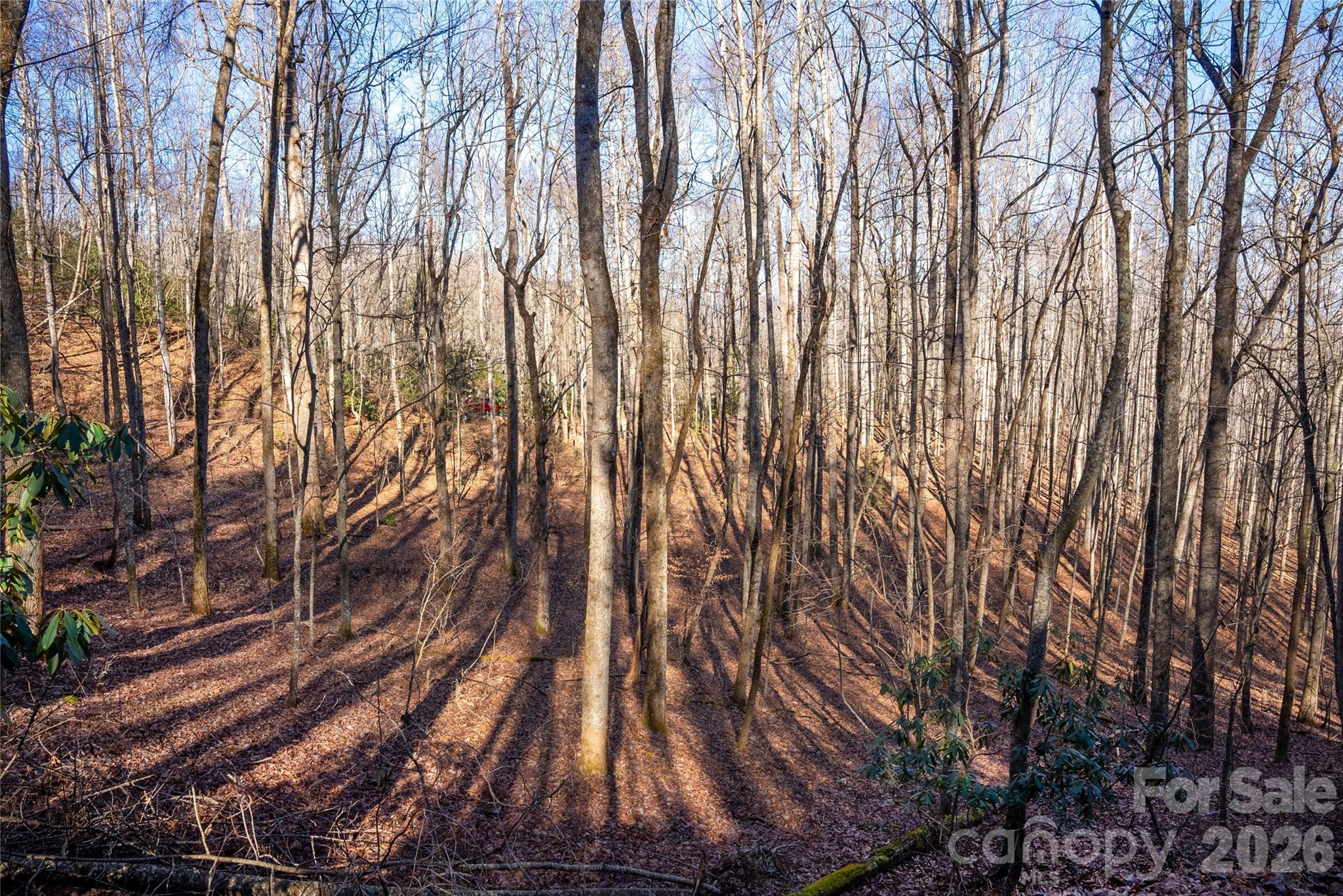 Henry Mountain - Residential