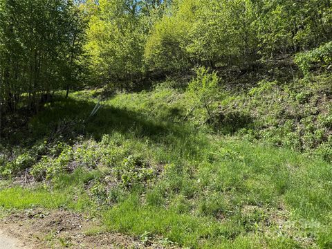 6 Wakeman Way Banner Elk NC 28604