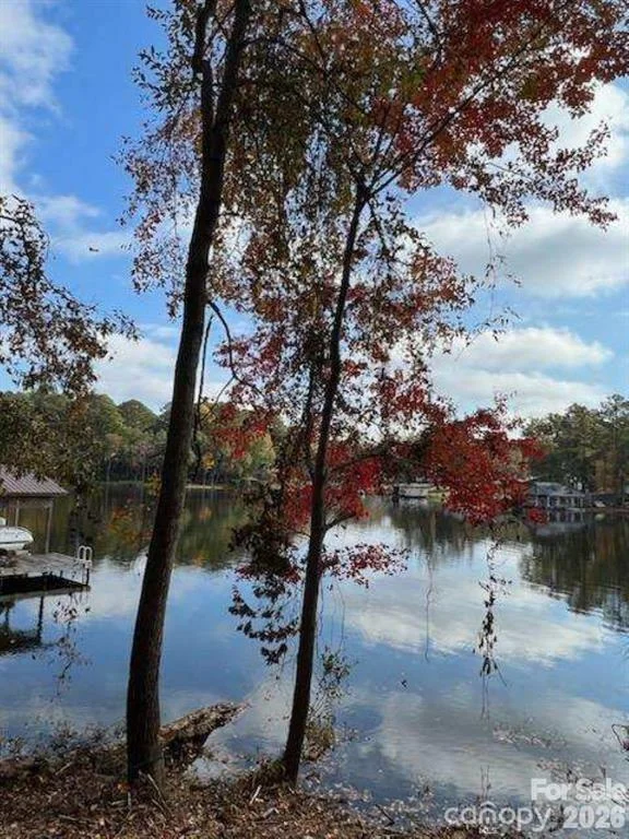 217 Sandy Point Lane Unit 12, Hartsville, SC, 29550