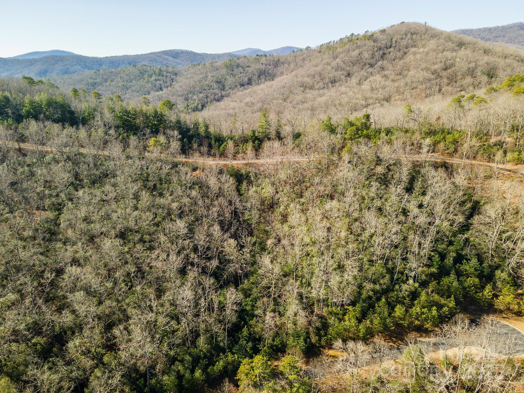 Homestead at Mills River - Land