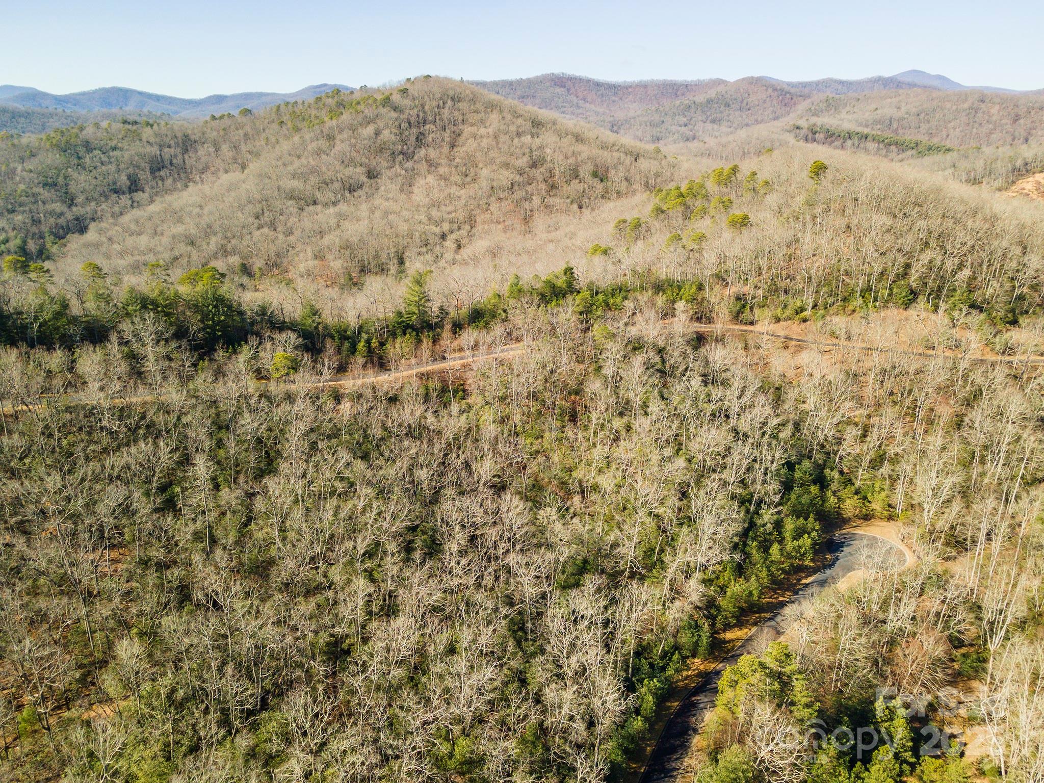 Homestead at Mills River - Land