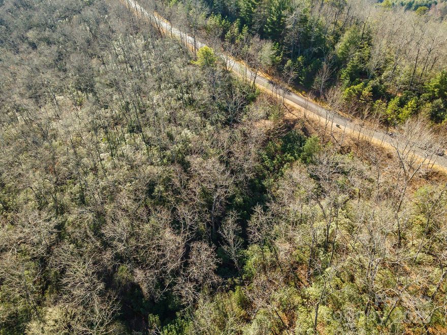 Beautiful gated subdivision. Rhododendron and Mountain Laurel galore. Paved roads with beautiful wooded areas along the way. Storm sewers already in place. Underground utilities and natural gas are available. Club house is remote on 10+ acres along Mills River. Great for events, camping, barbecuing and fishing. Convenience is awesome being just approximately 5 minutes from Ingles Supermarket and a new Publix under construction, 10 minutes to Sierra Nevada Brewery, 15 minutes to the airport , 25 minutes to Hendersonville and Brevard and about 35 minutes to Downtown Asheville. Build your dream home in this mountain paradise. The Mills River area offers some of the finest trout streams, camping, hiking and mountain biking in the WNC area.