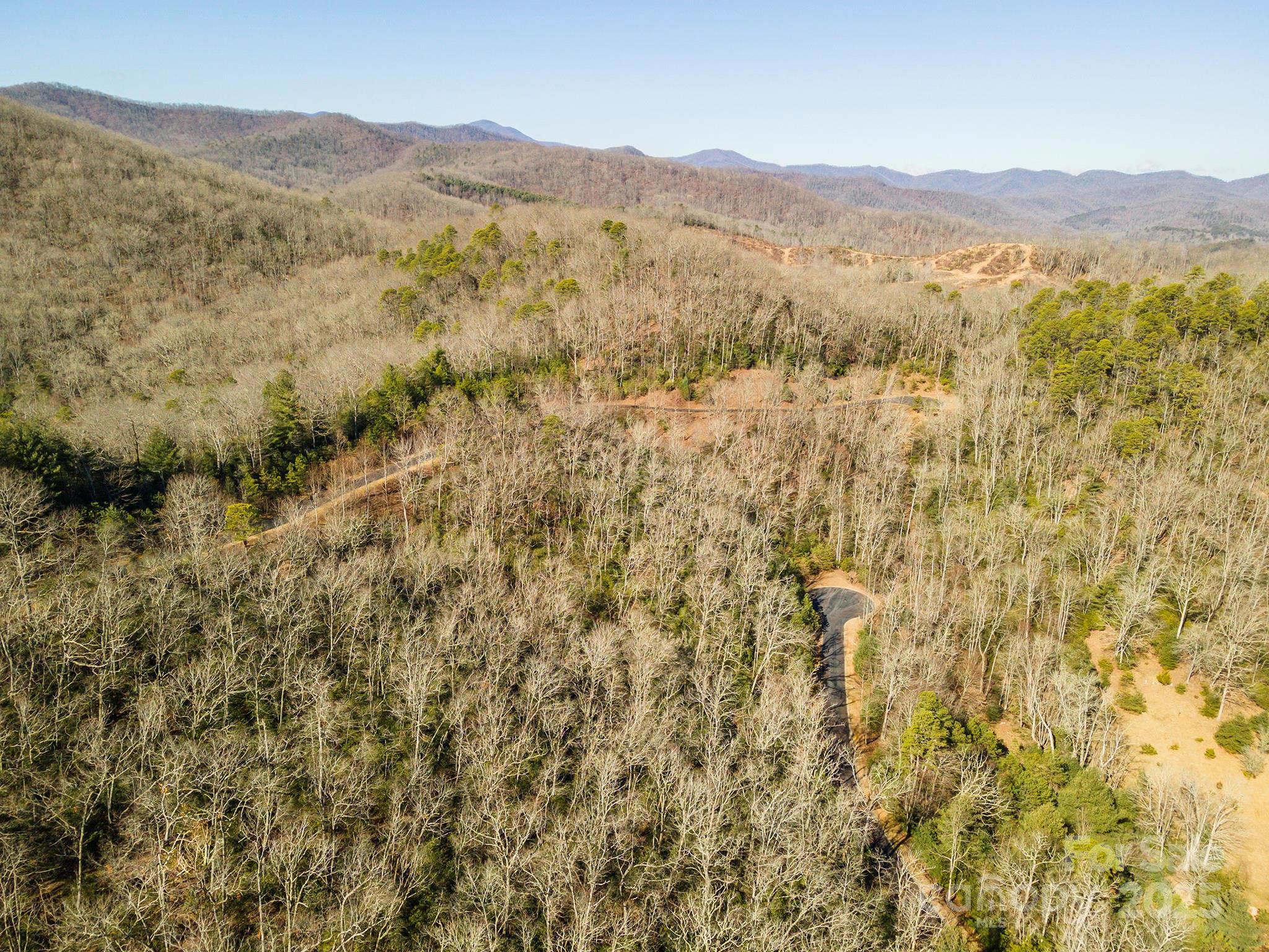 Homestead at Mills River - Land