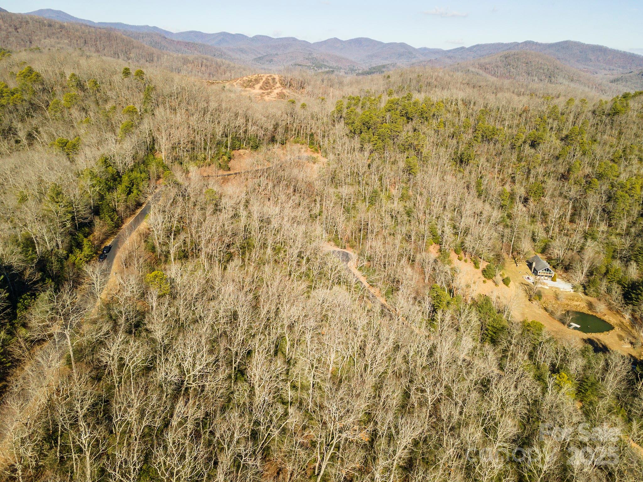 Homestead at Mills River - Land