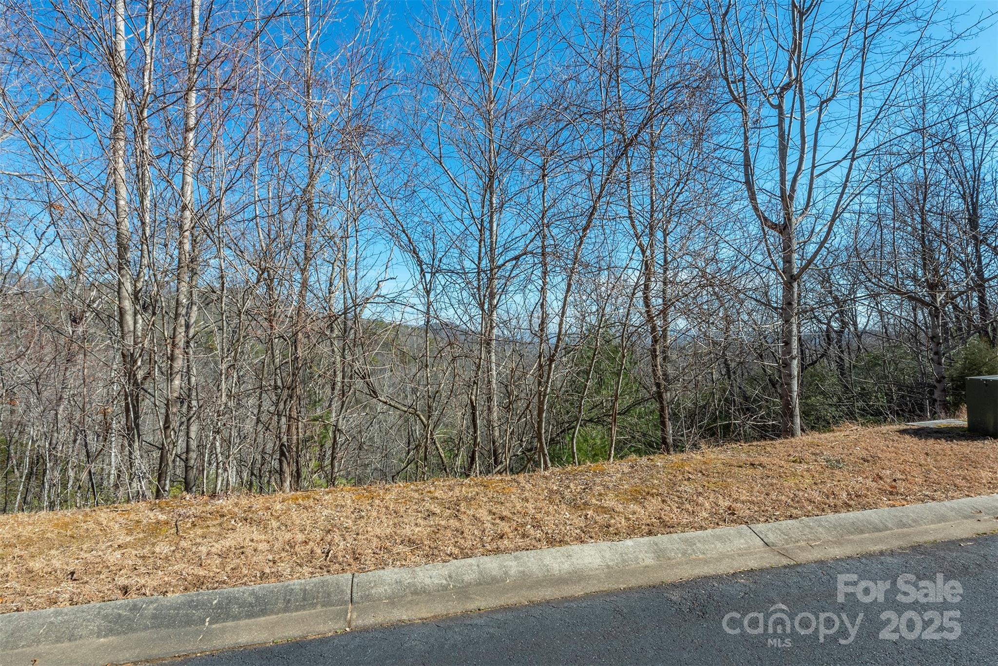 Homestead at Mills River - Land