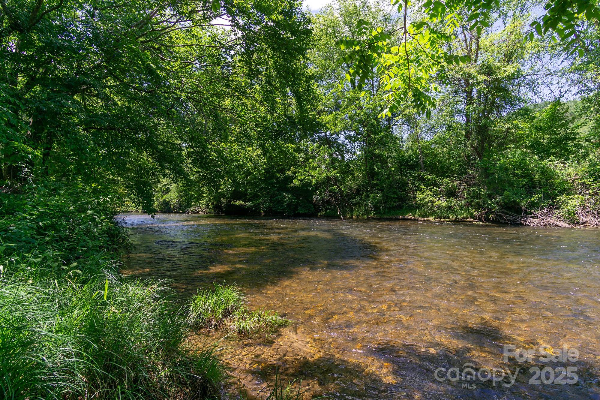 Homestead at Mills River - Land