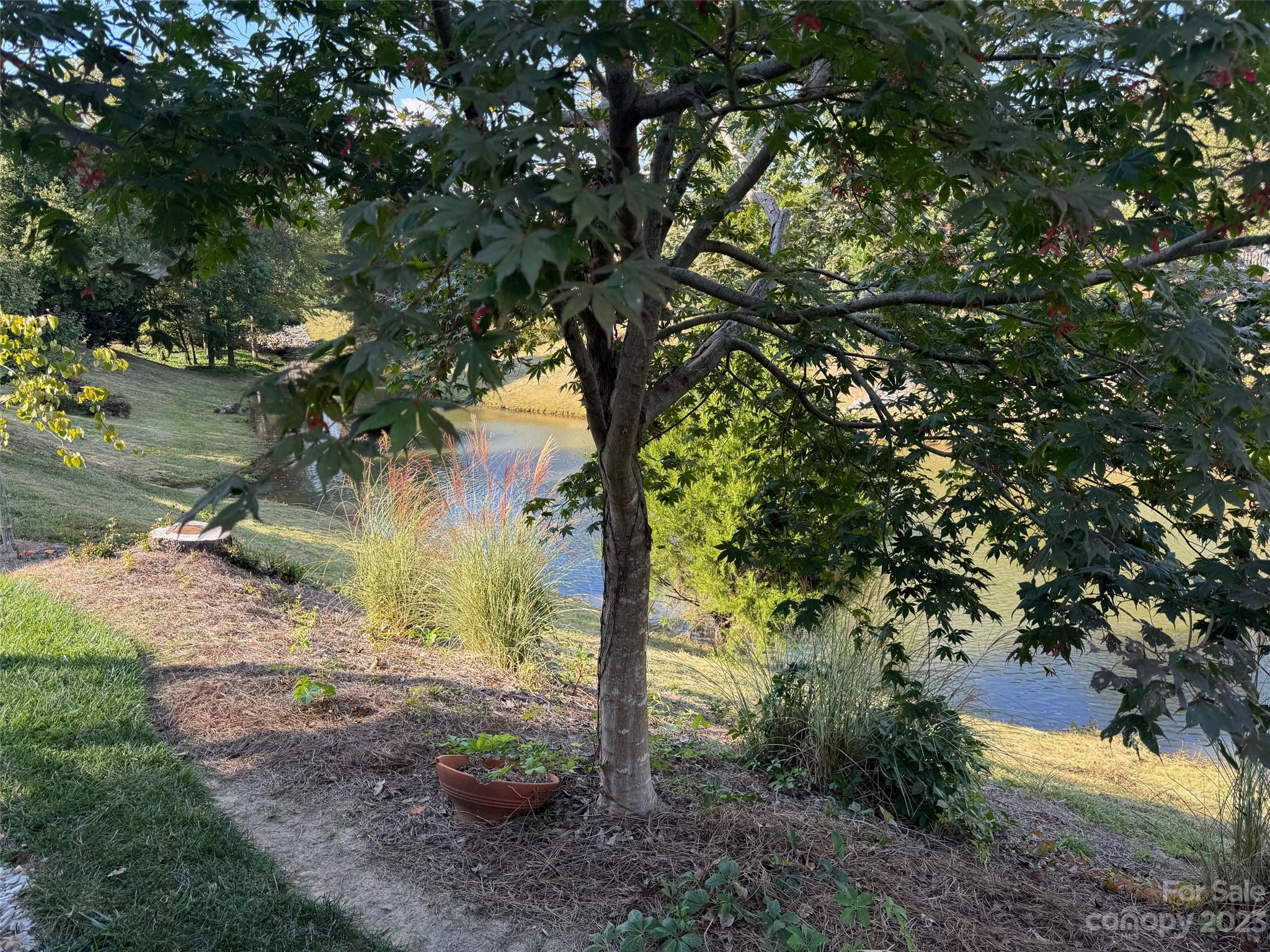 Four Seasons At Gold Hill - Residential