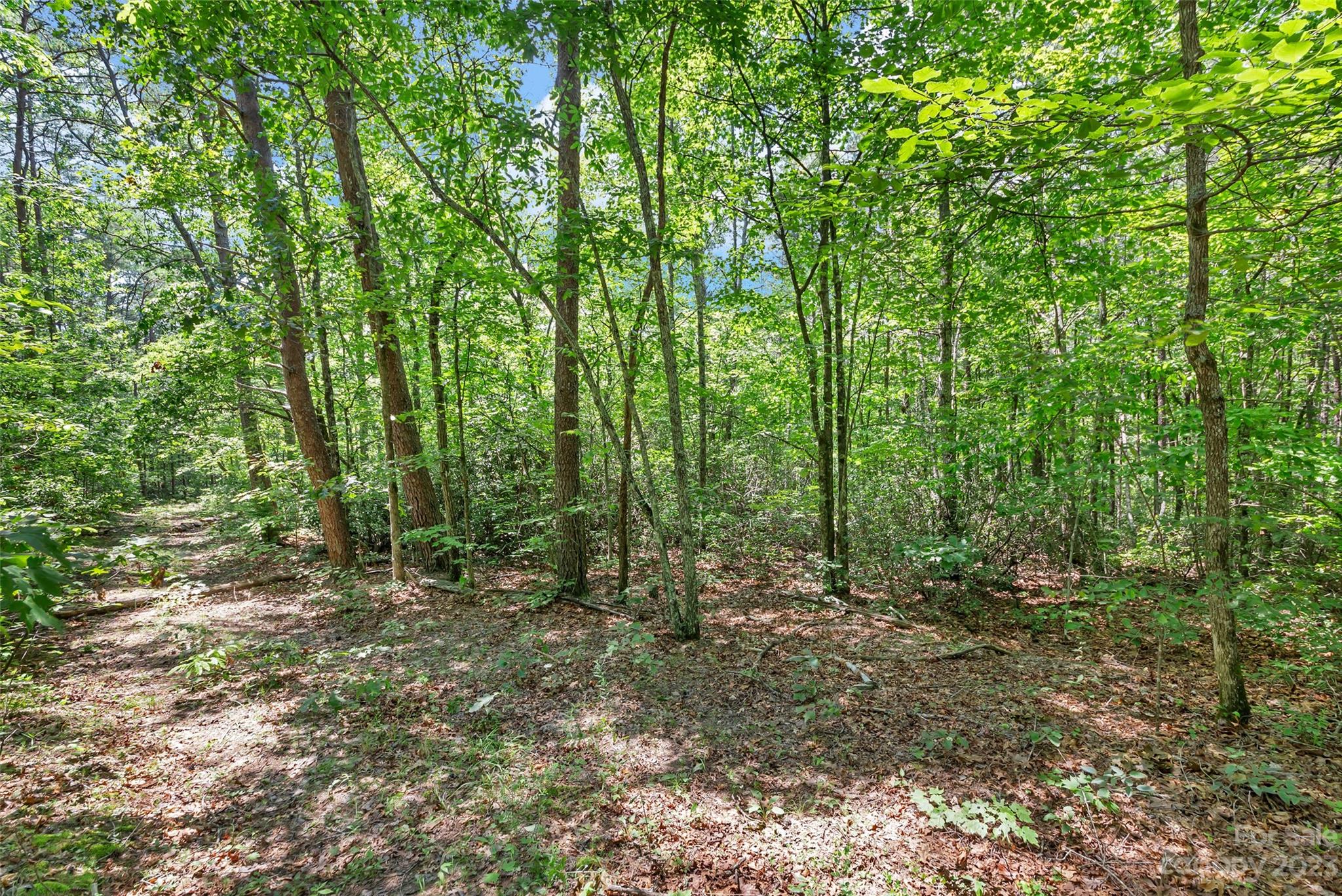 0000 White Pines Trace