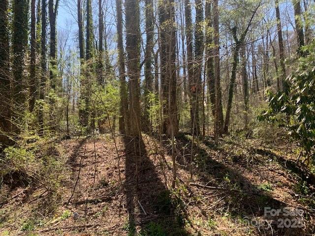 3 LOTS COUNTRY CLUB Road A,B,C