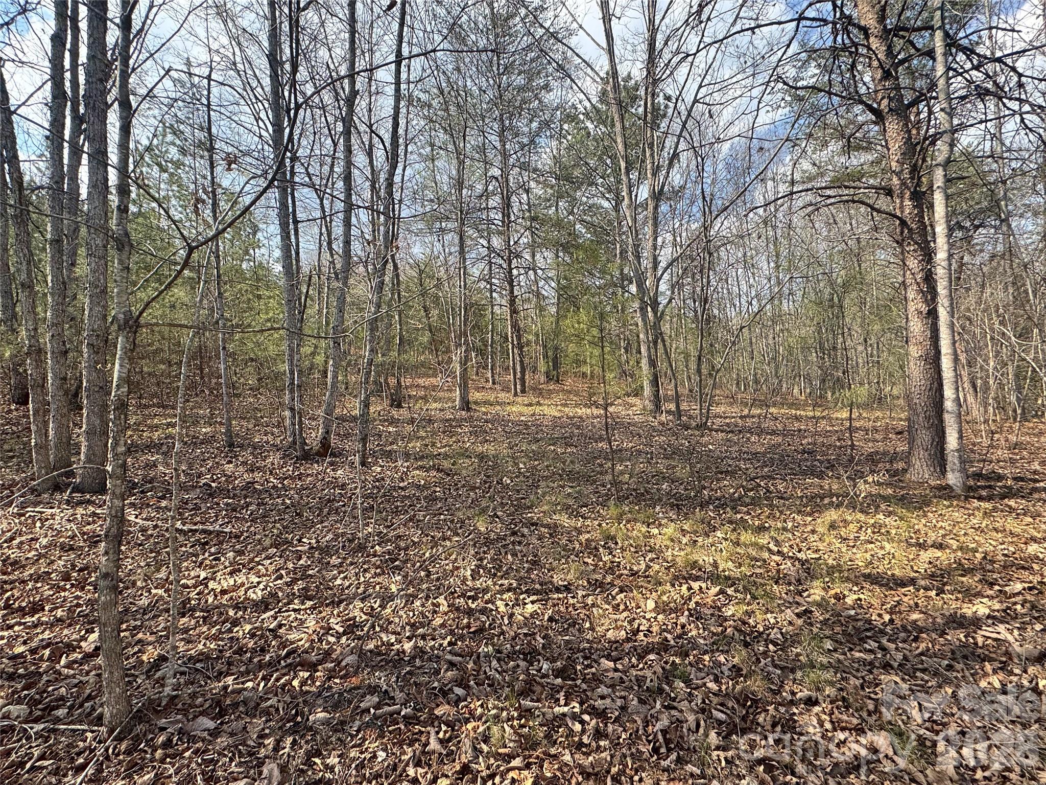 VL Amberwood Place 17