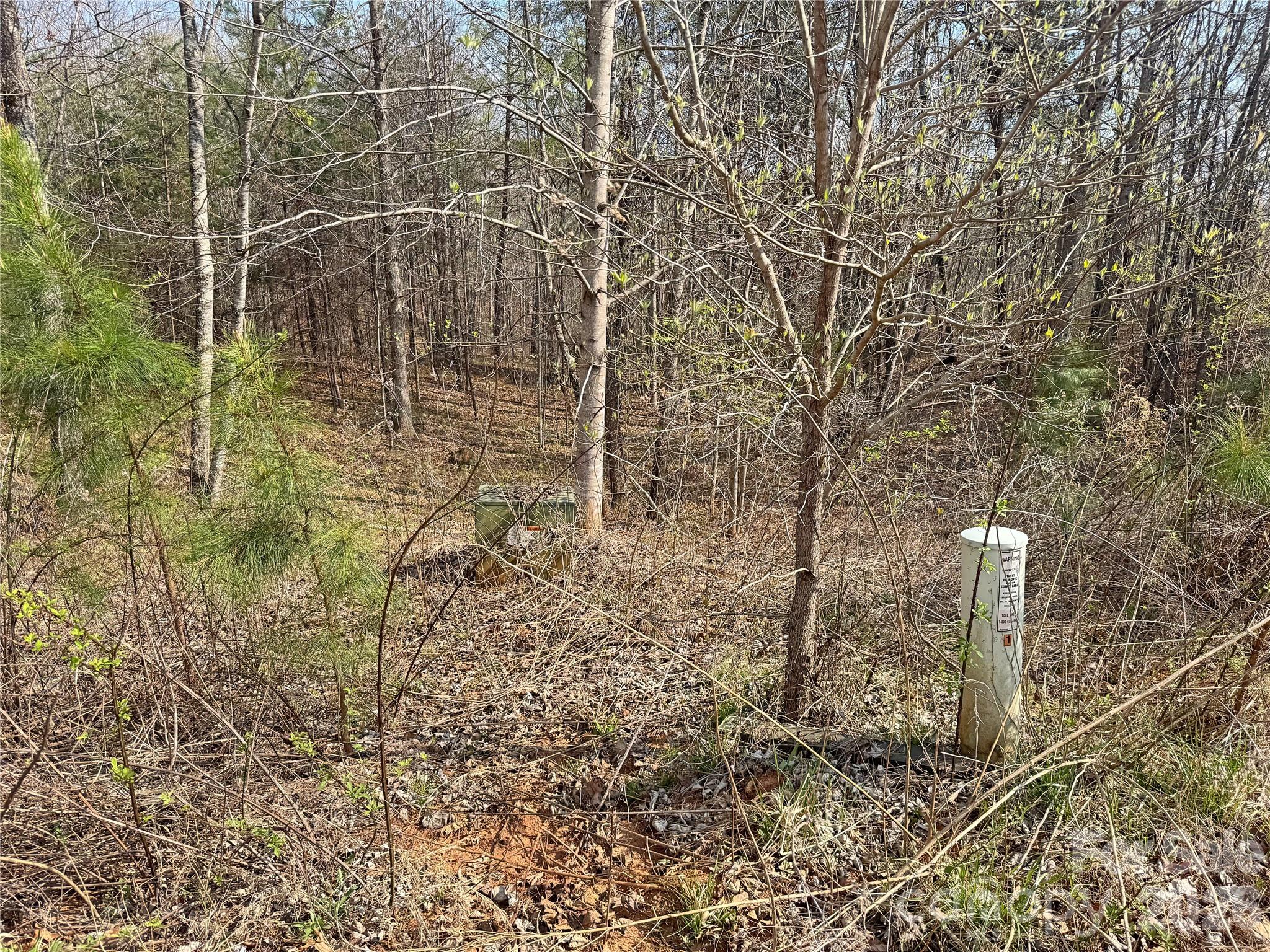 VL Amberwood Place 17