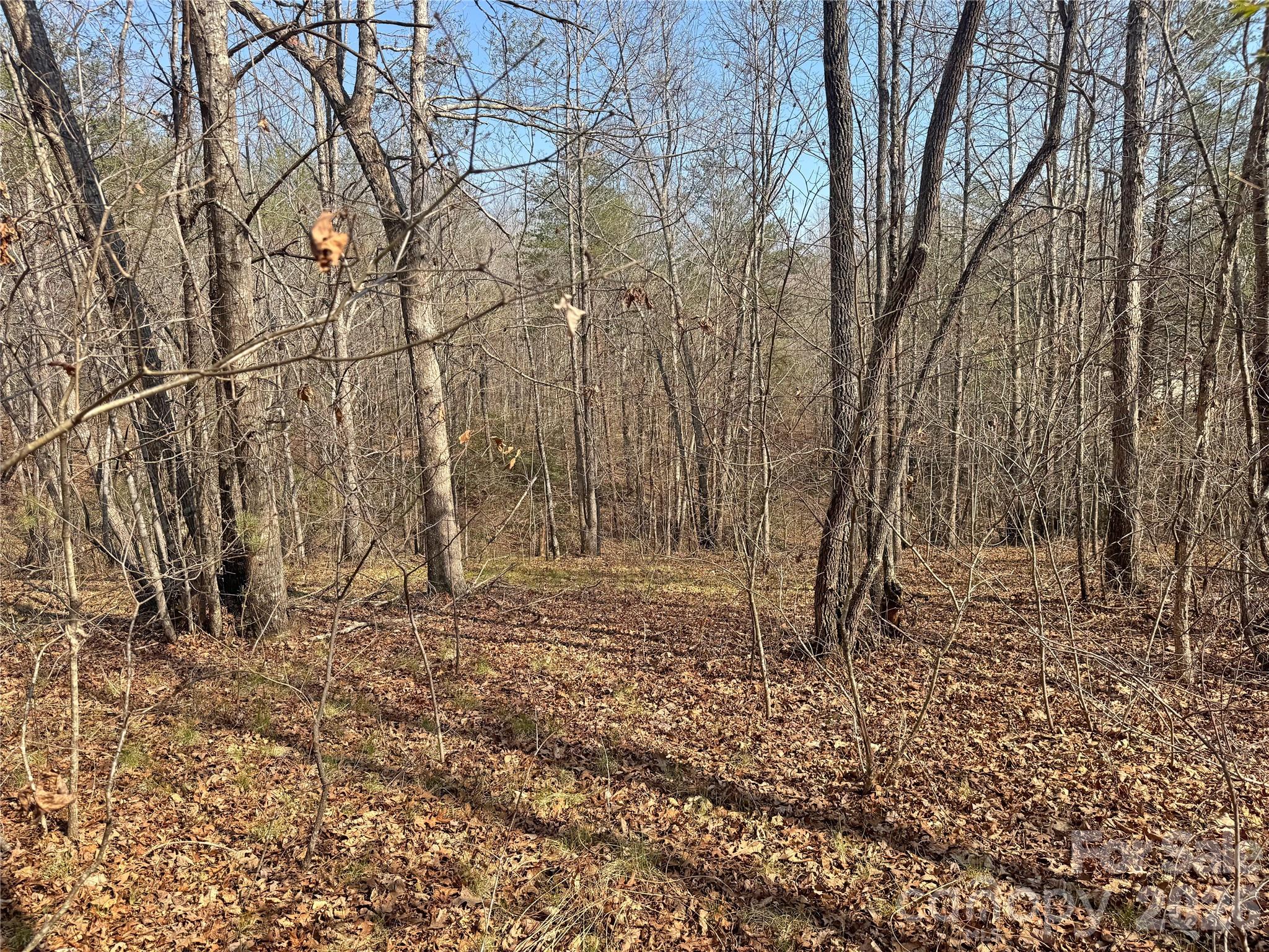 VL Amberwood Place 17