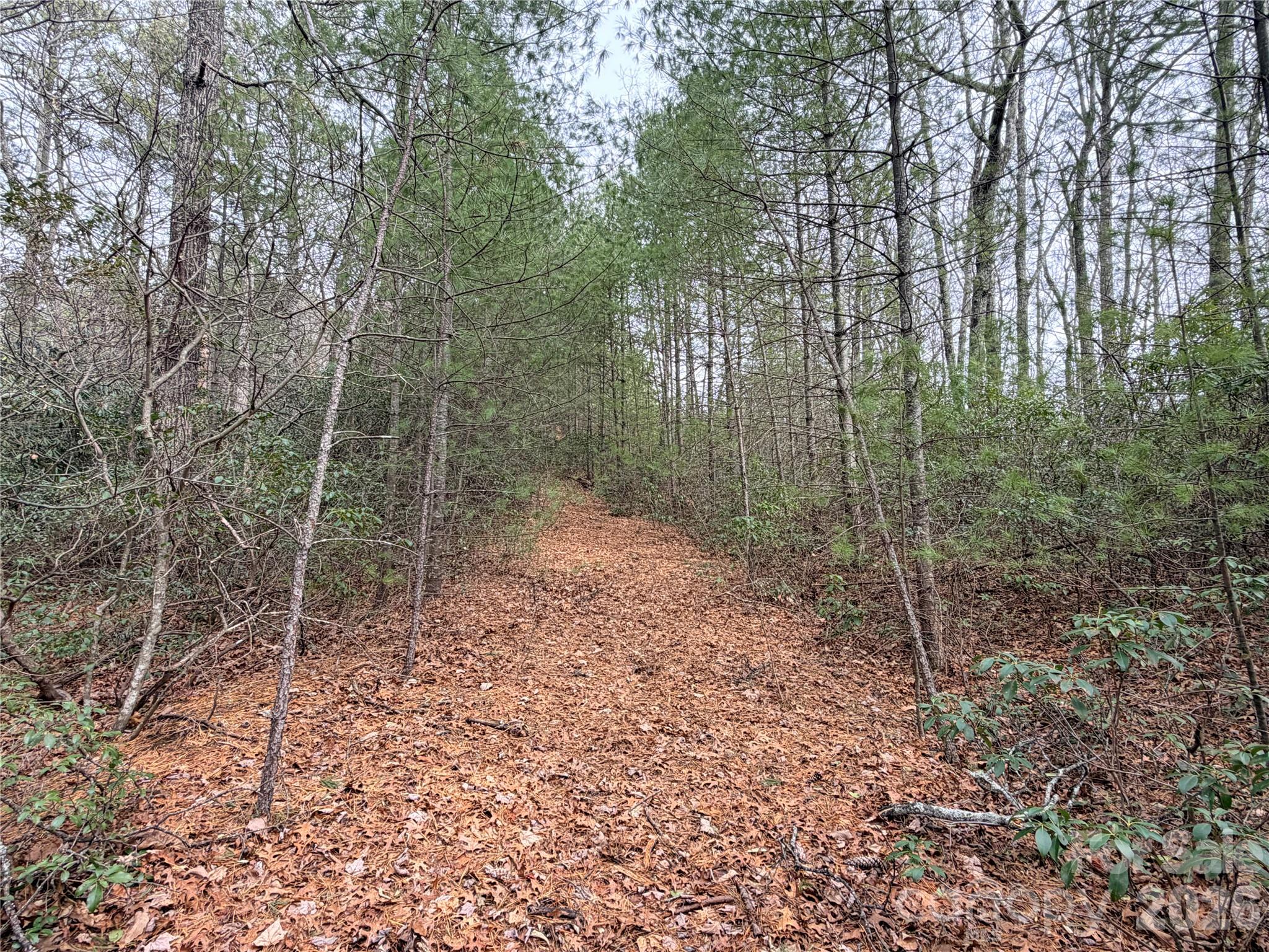 TBD (Lot 1) Dugger Firetower Road 1