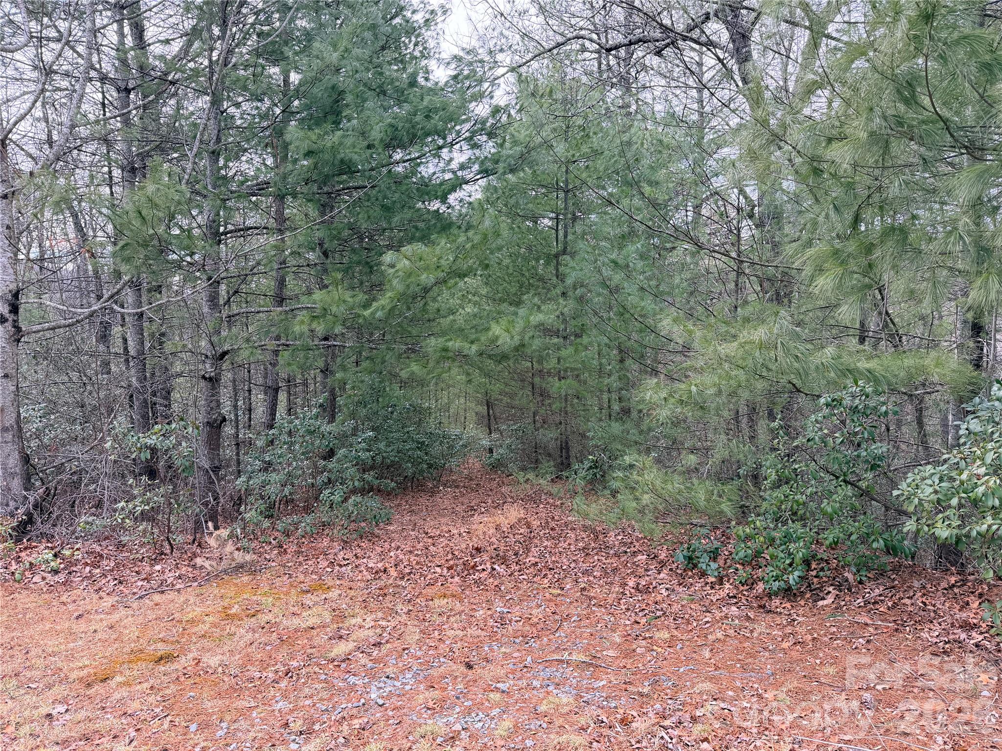 TBD (Lot 1) Dugger Firetower Road 1