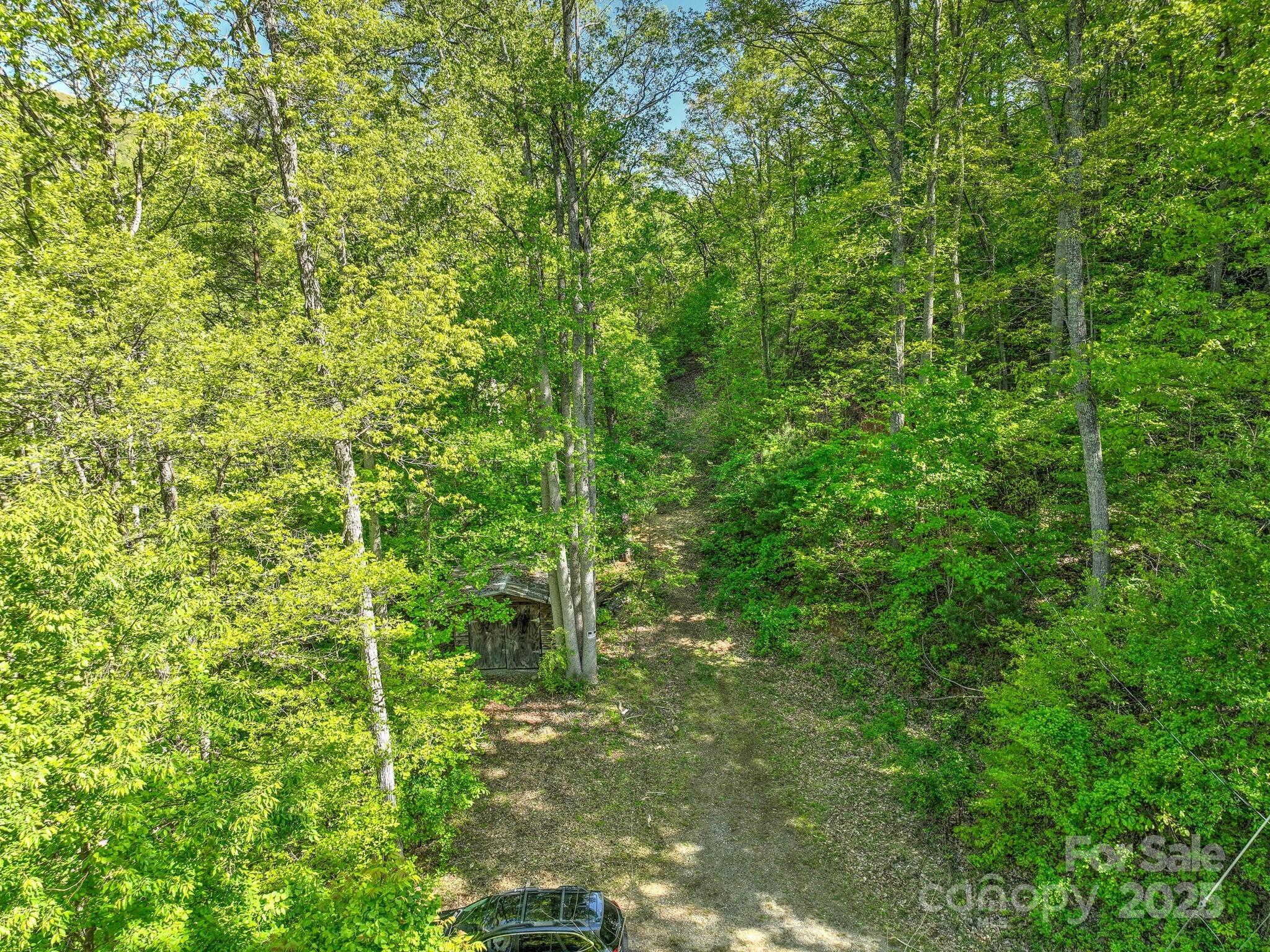 99999 Bull Creek Road