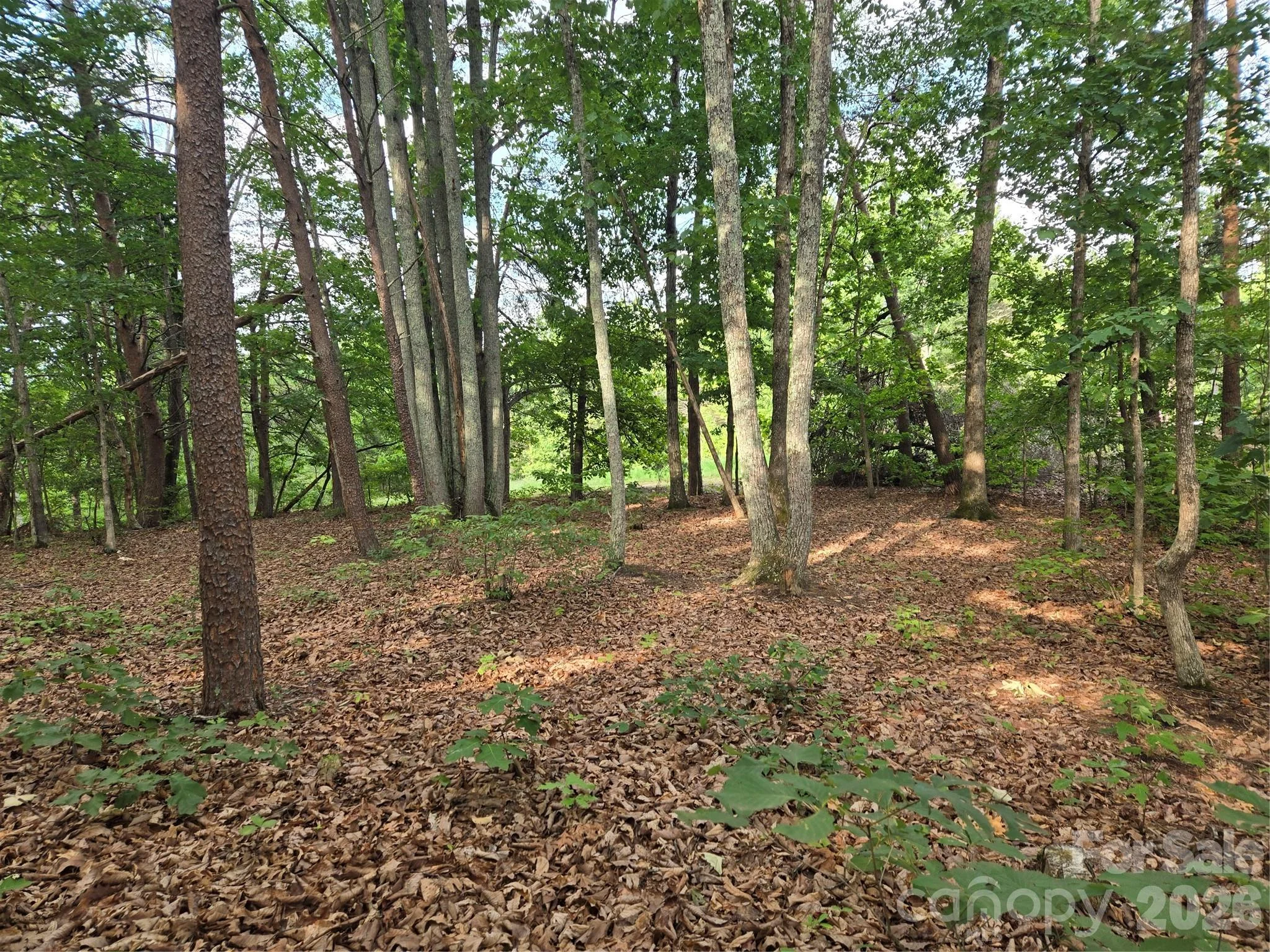 1236 Smithfield Drive, Hudson, NC, 28638