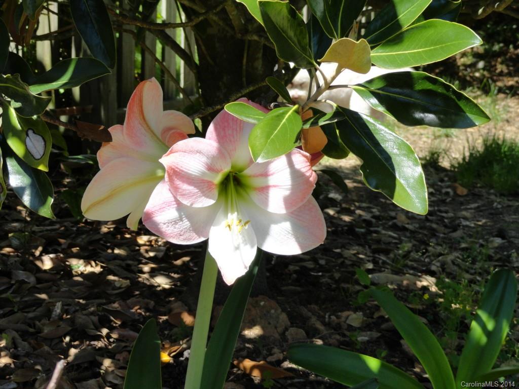 Waterstone - Residential