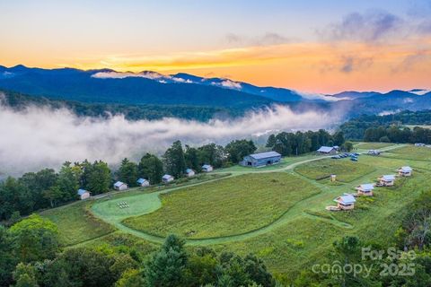 1295 Paint Rock Road Hot Springs NC 28743