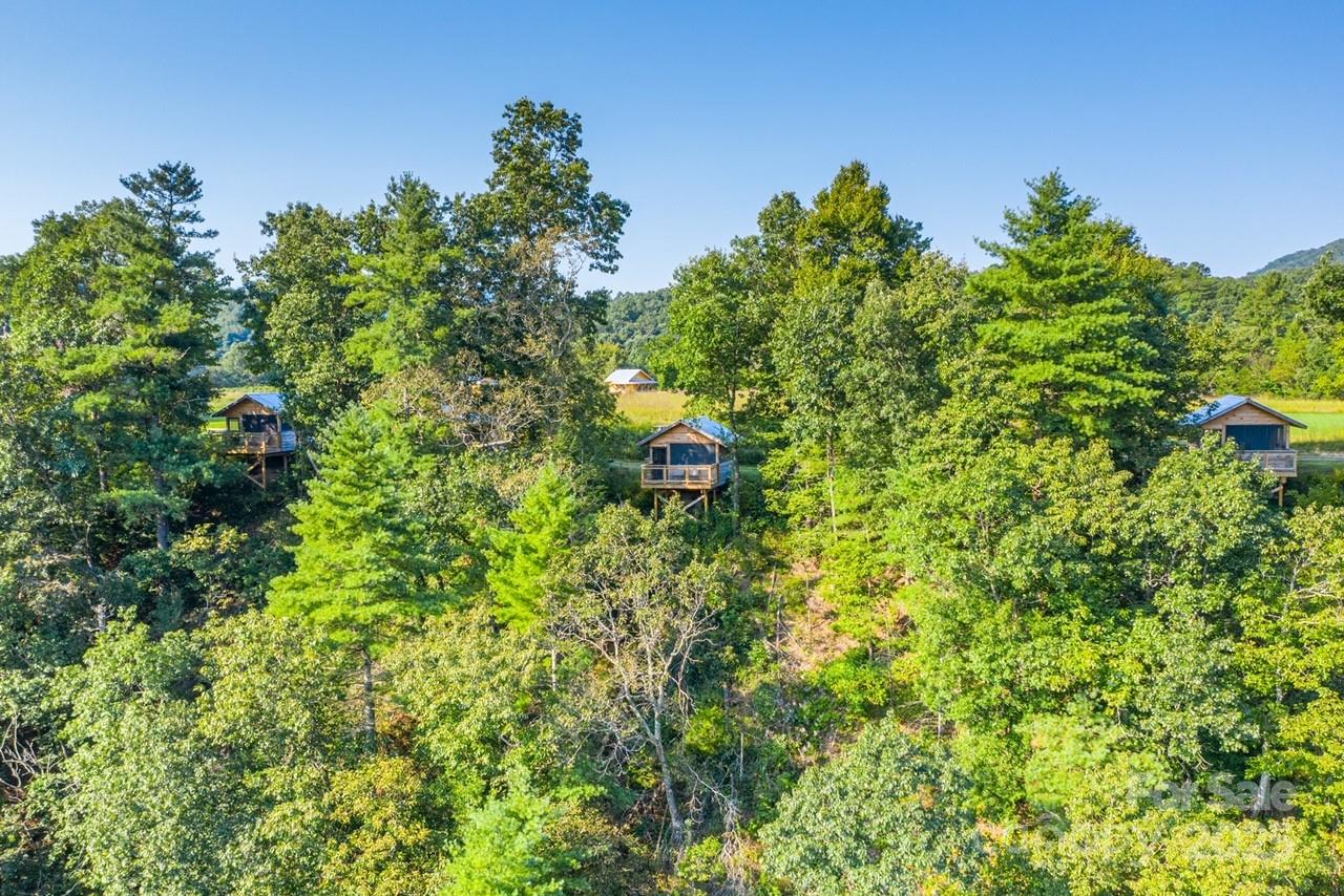 1295 Paint Rock Road