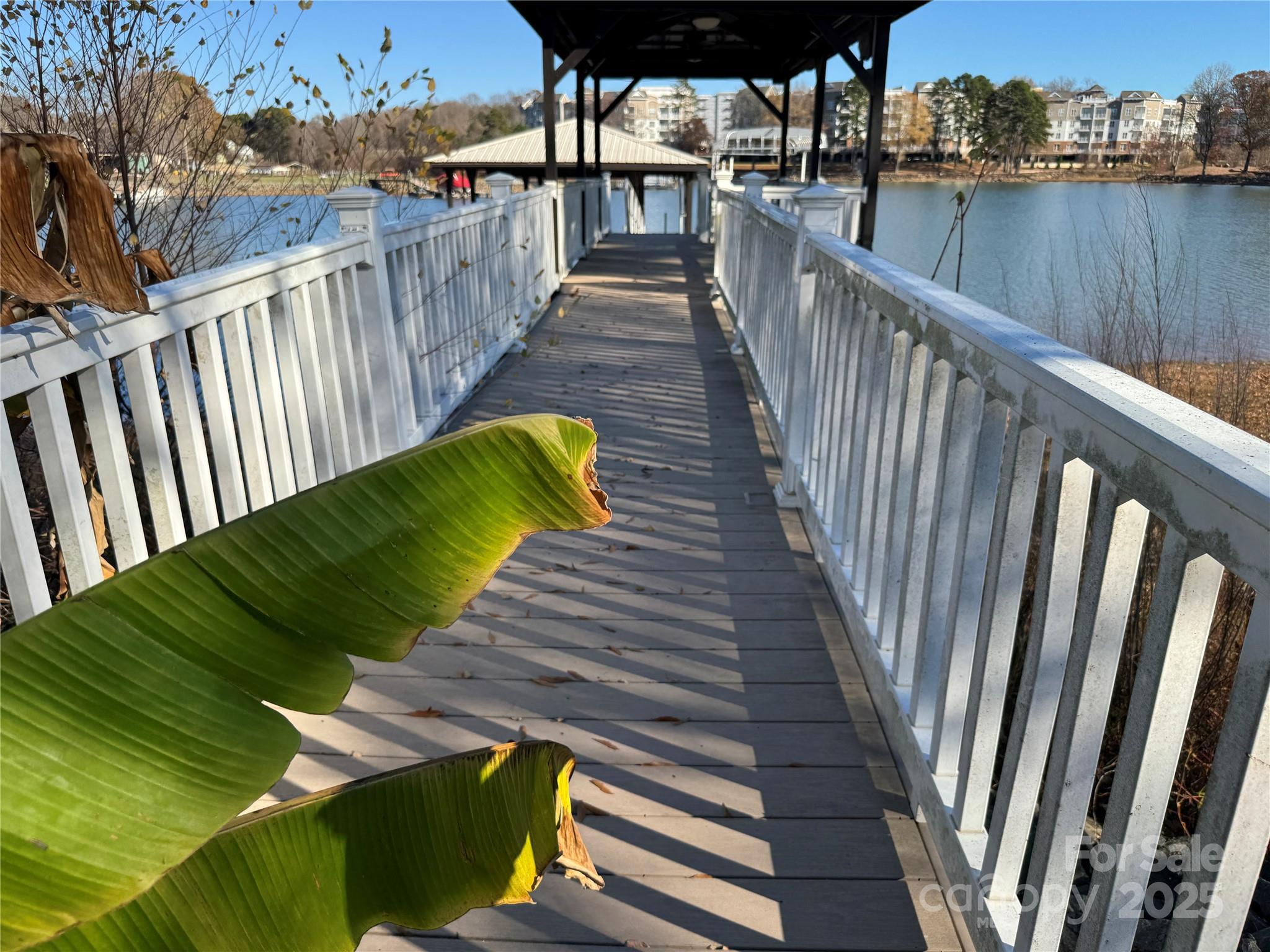 Queens Cove - Residential