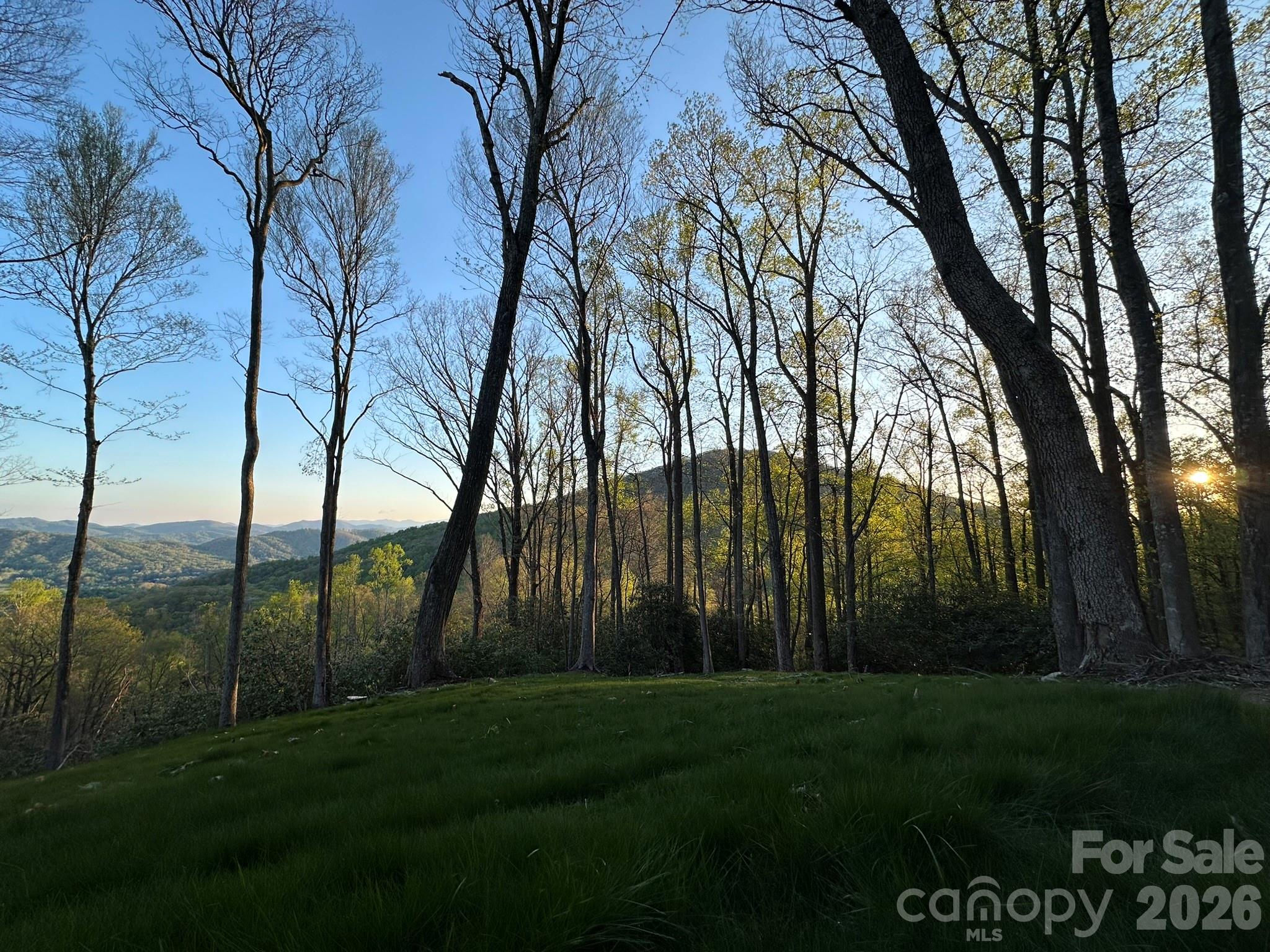 000 Hemlock Grove Trail 51