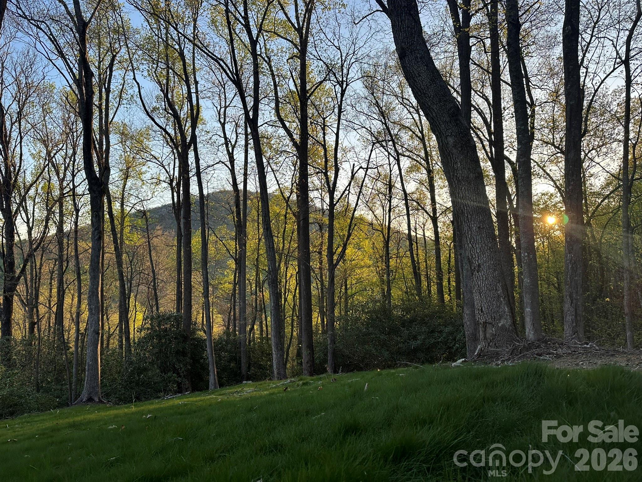 000 Hemlock Grove Trail 51