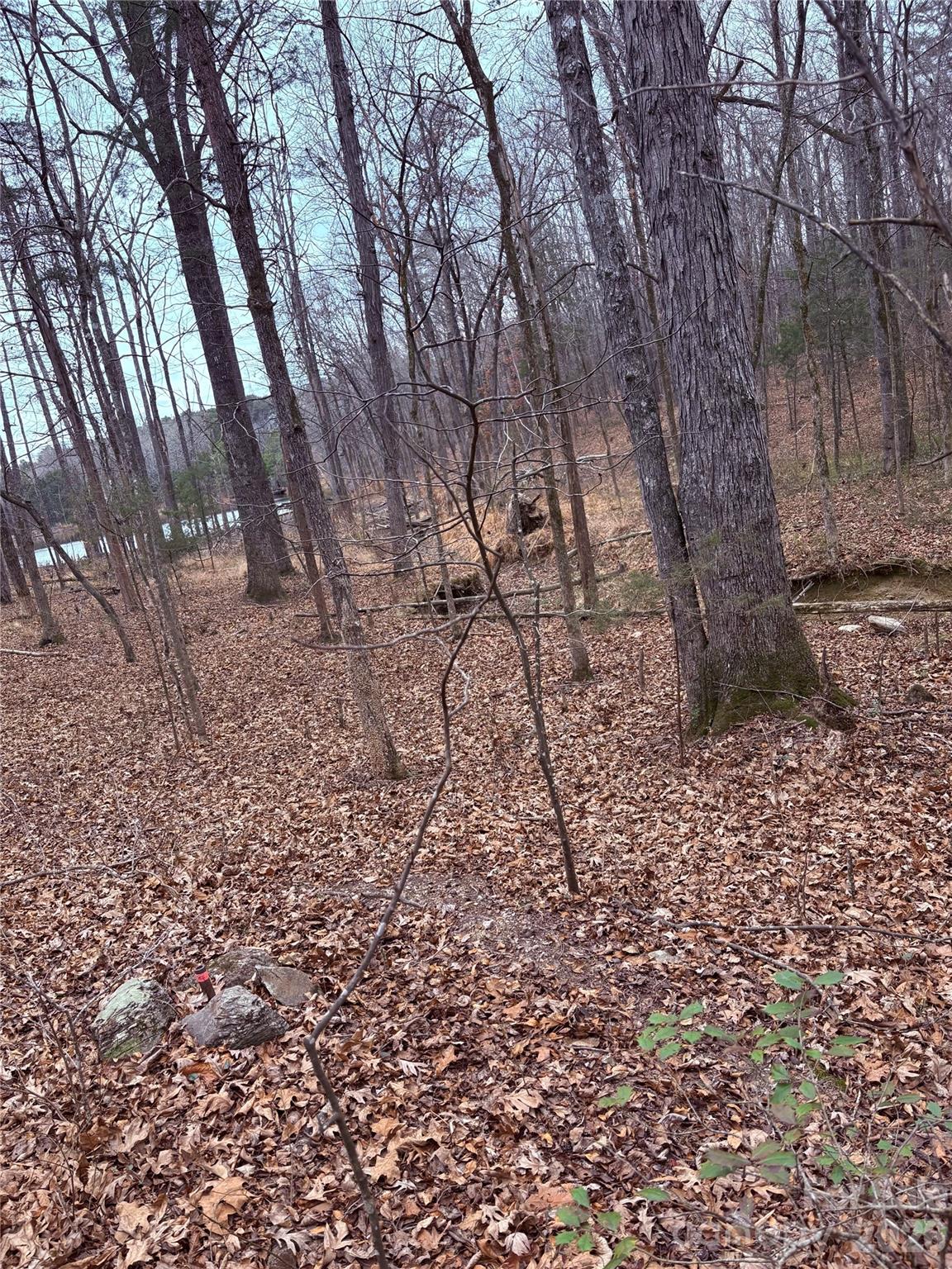 000 Vacant NC 138 Highway