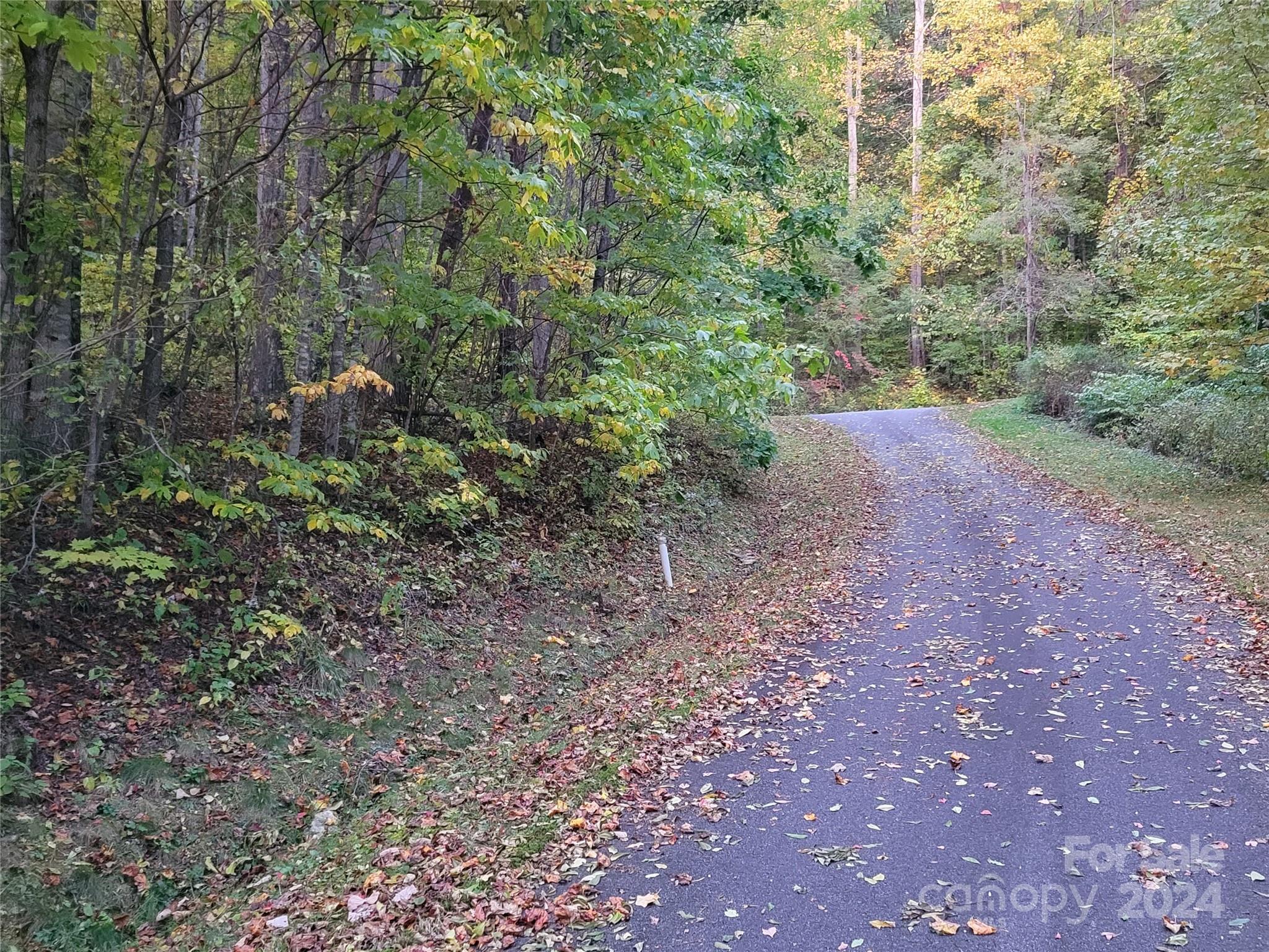 The Cove at Maggie Valley - Land