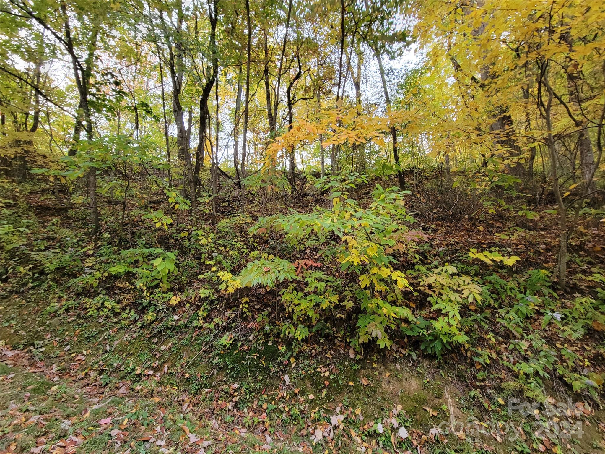 00 Covecrest Lane 10