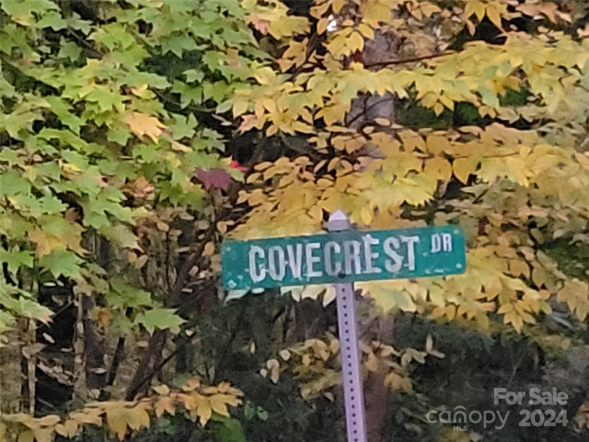 The Cove at Maggie Valley - Land