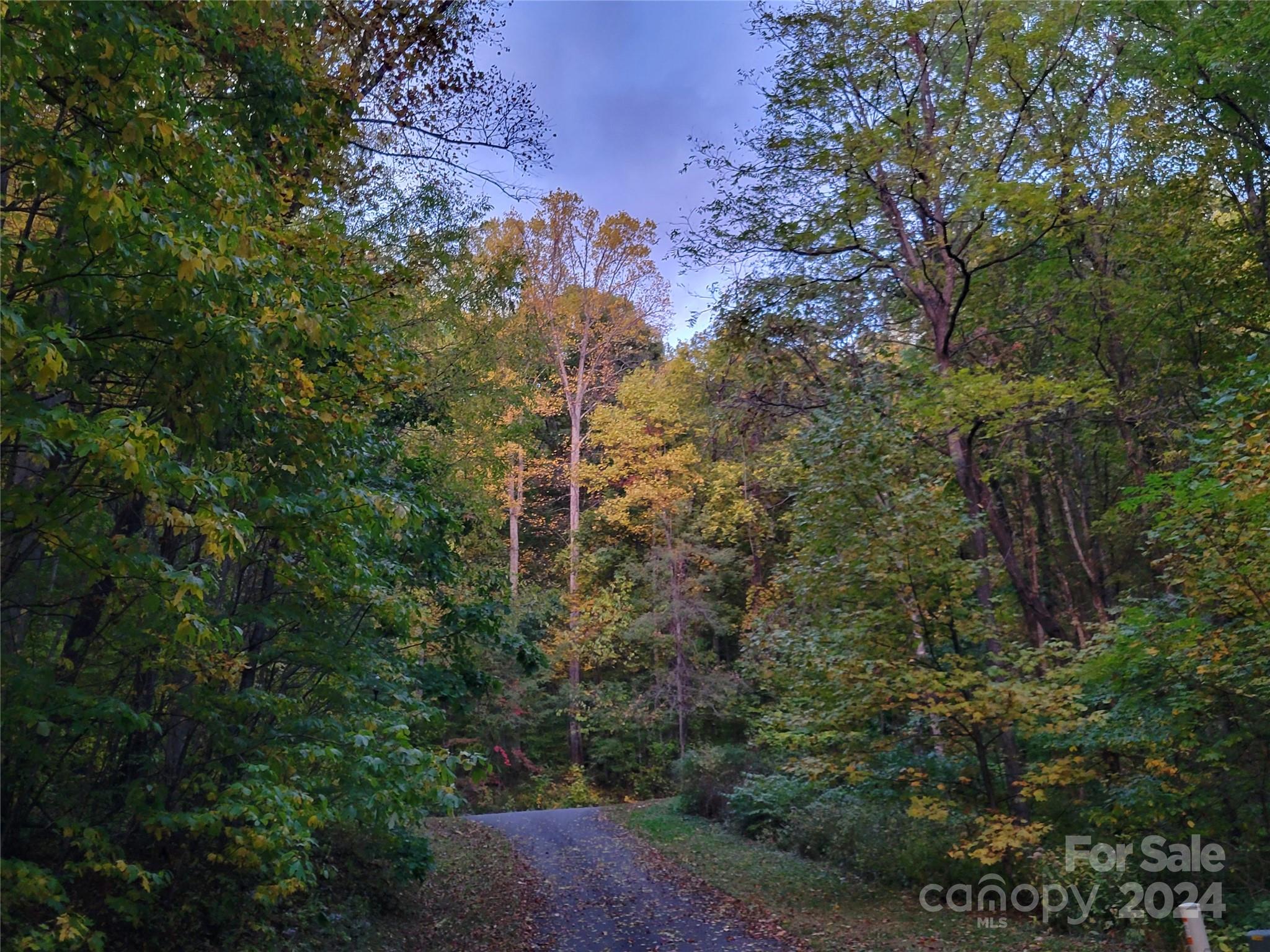The Cove at Maggie Valley - Land