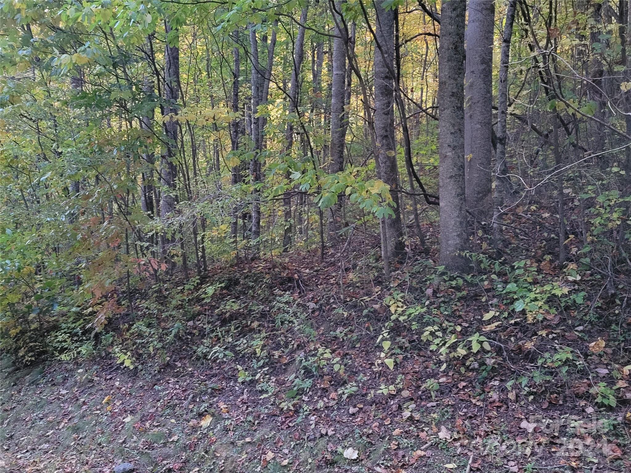 The Cove at Maggie Valley - Land