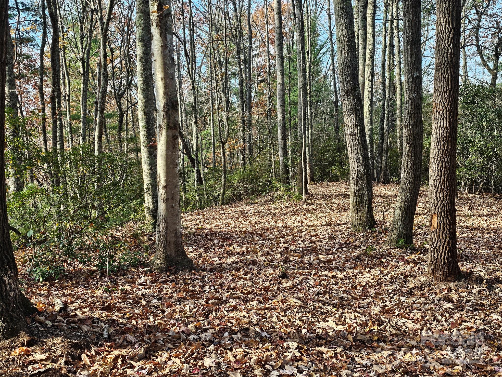 9999-16 Bob Barnwell Road