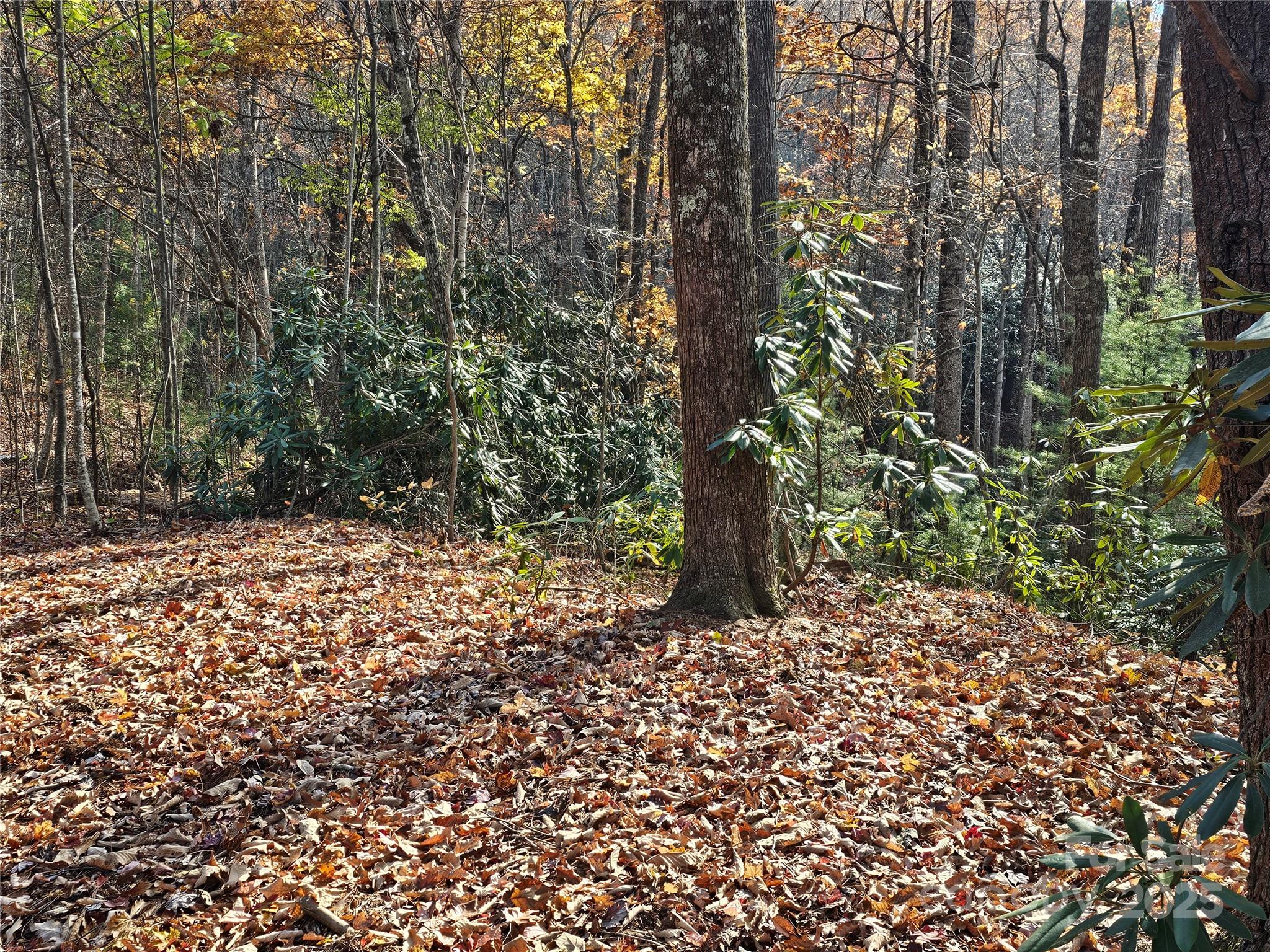 9999-16 Bob Barnwell Road