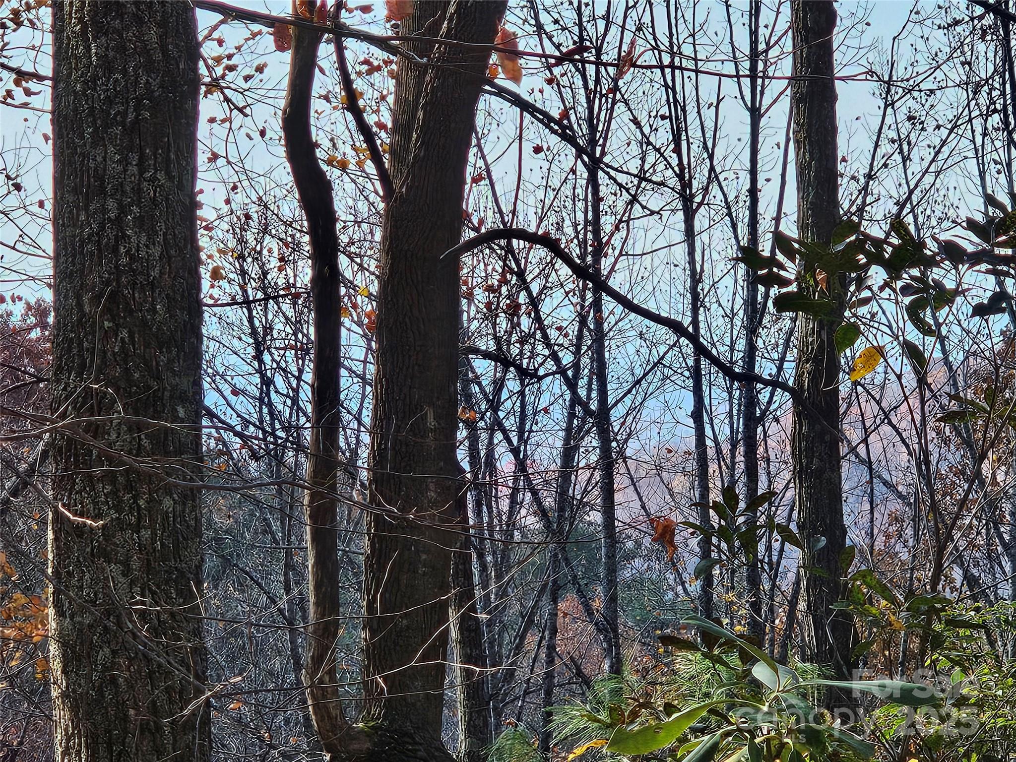 9999-16 Bob Barnwell Road