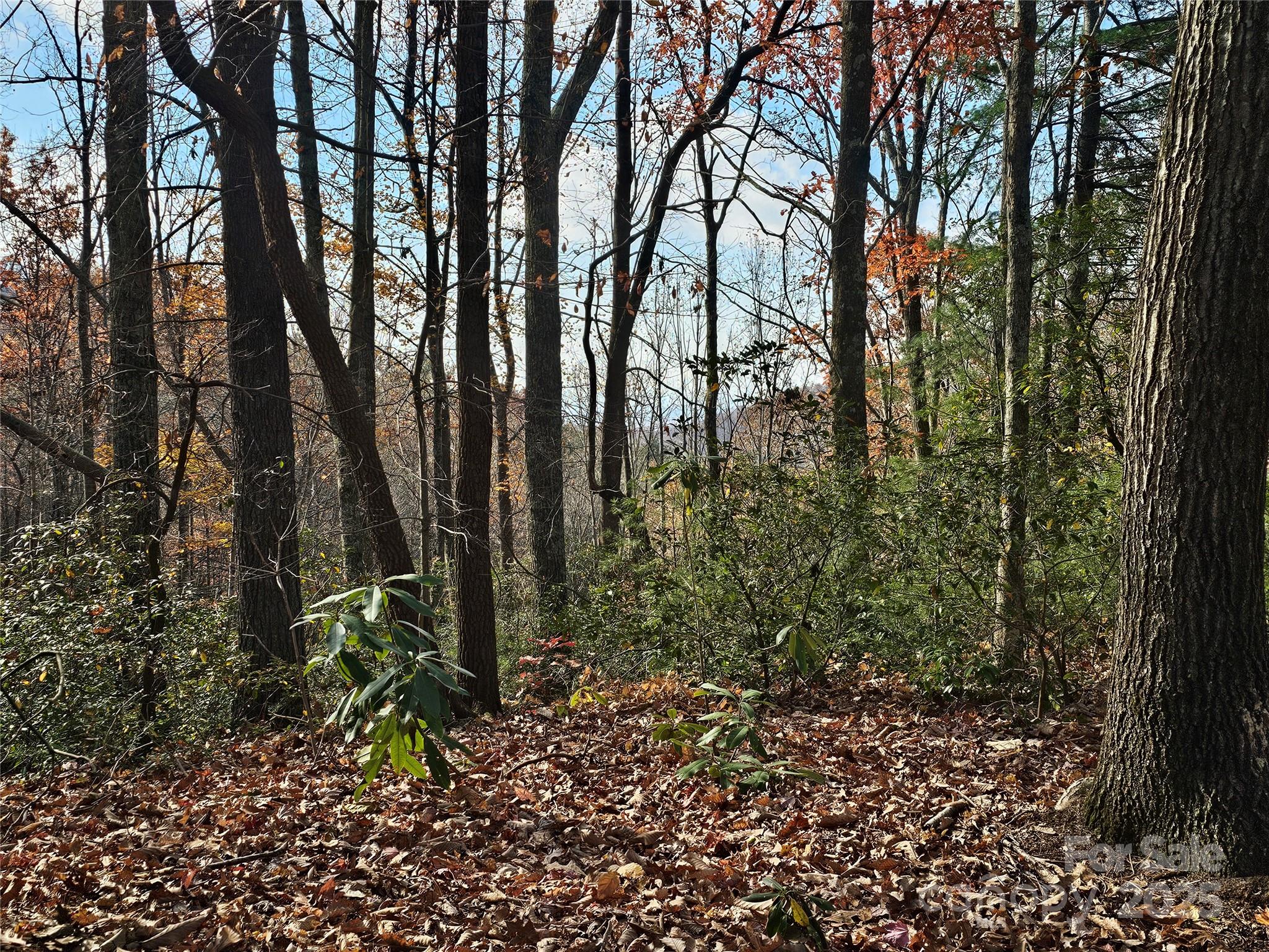 9999-16 Bob Barnwell Road