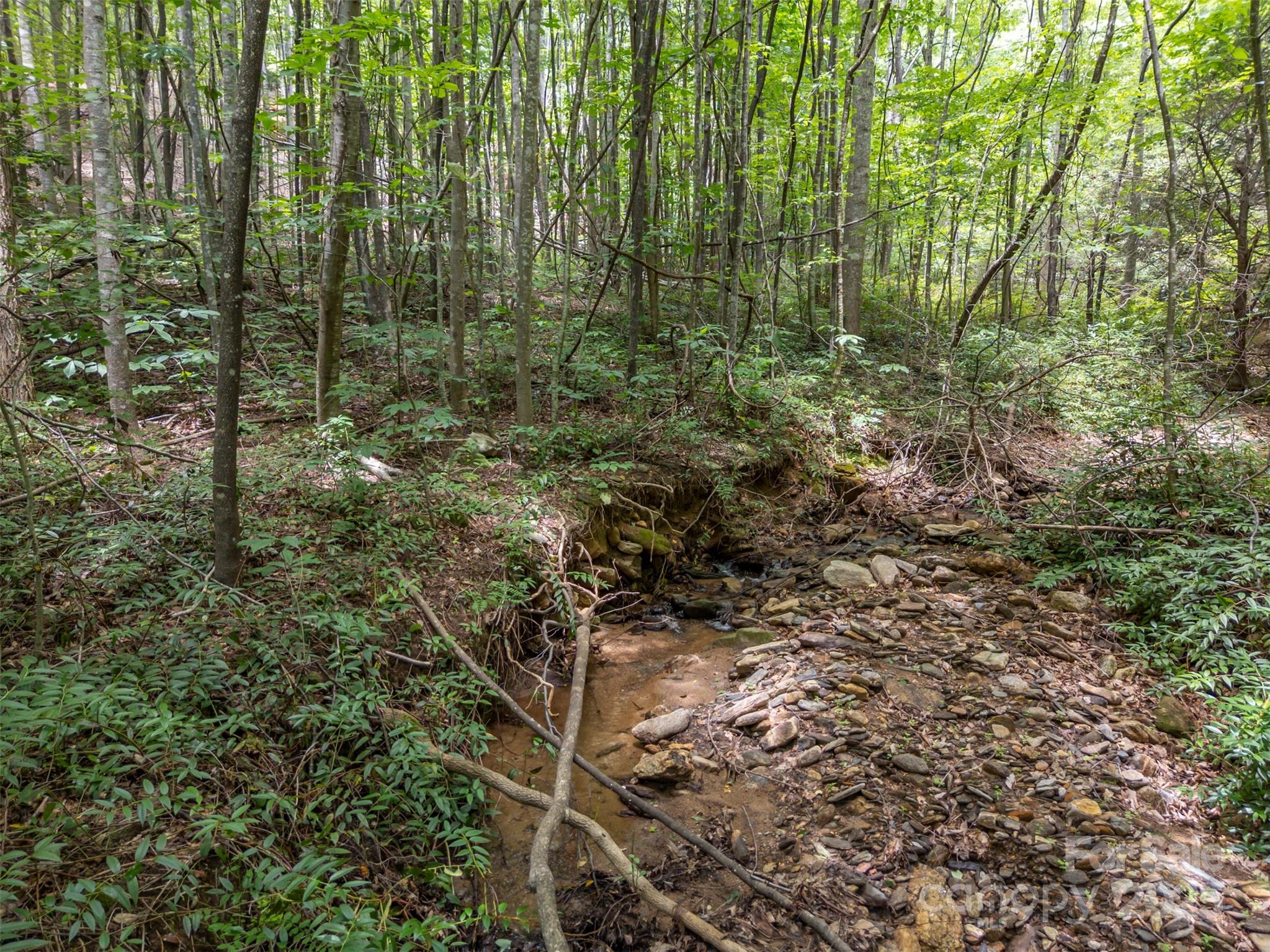 000 Deep Gap Farm Road E