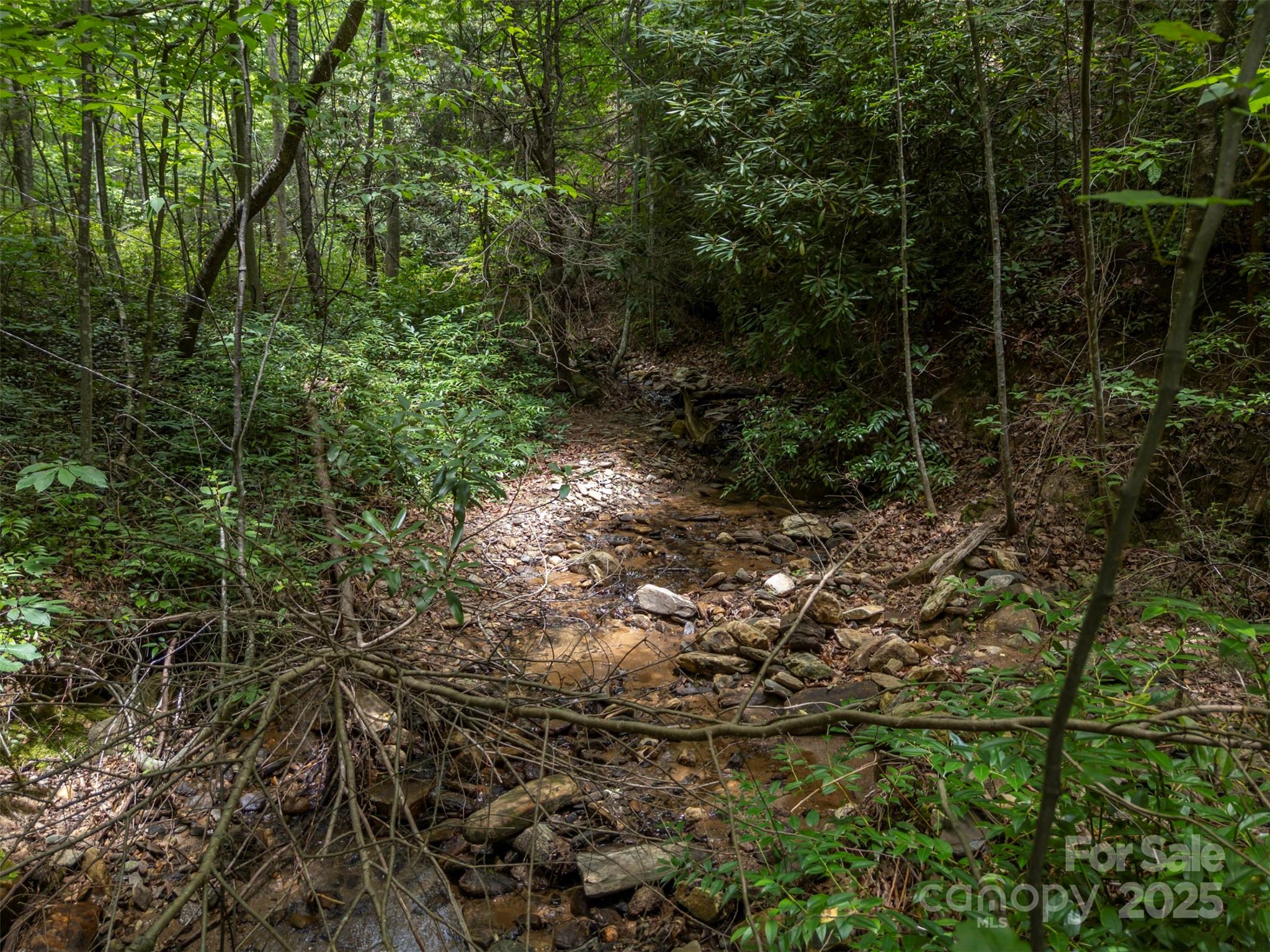 Brights Creek - Land