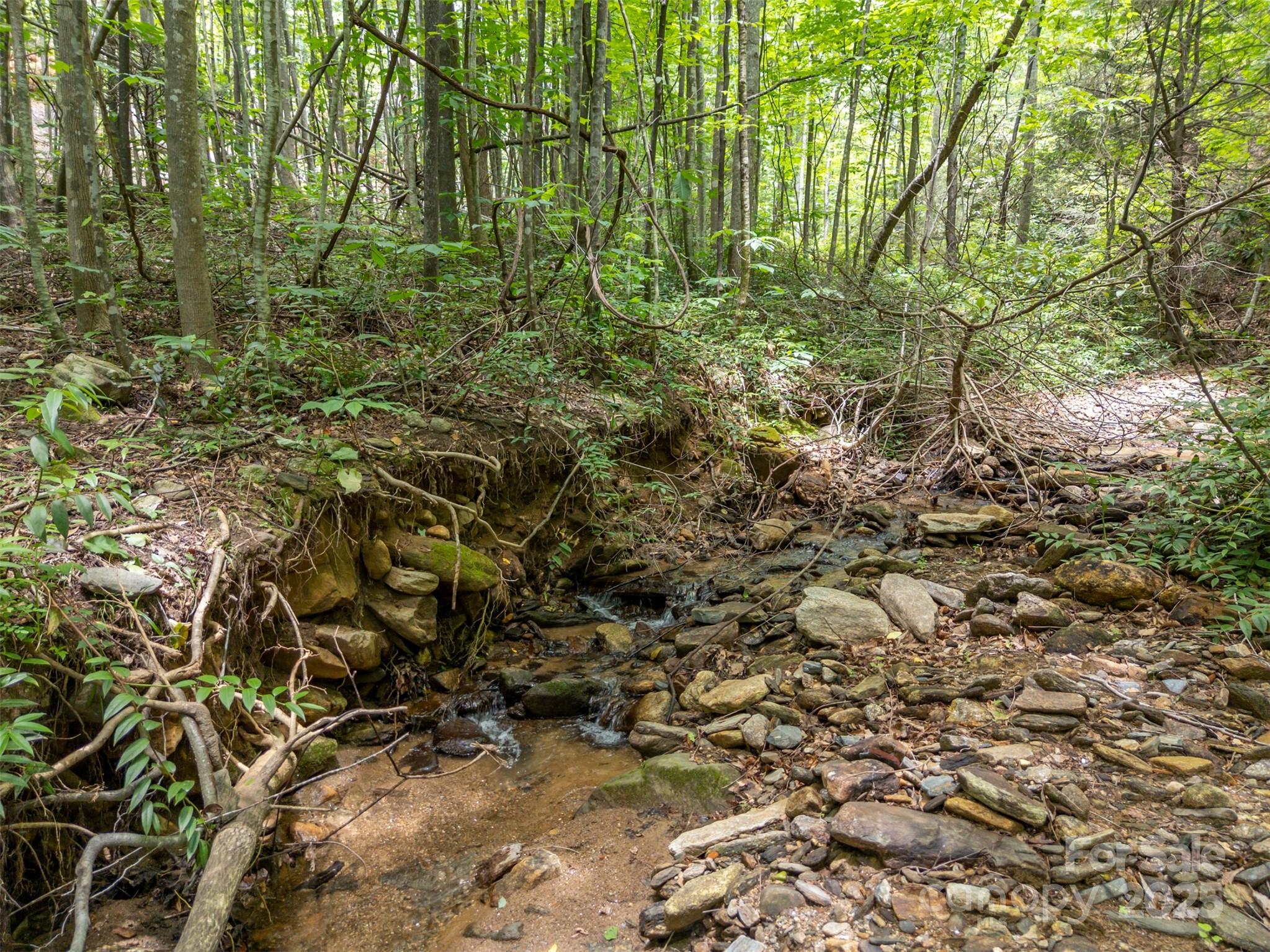 000 Deep Gap Farm Road E