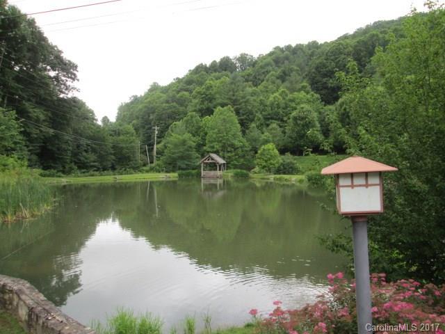 Wolf Laurel - Residential