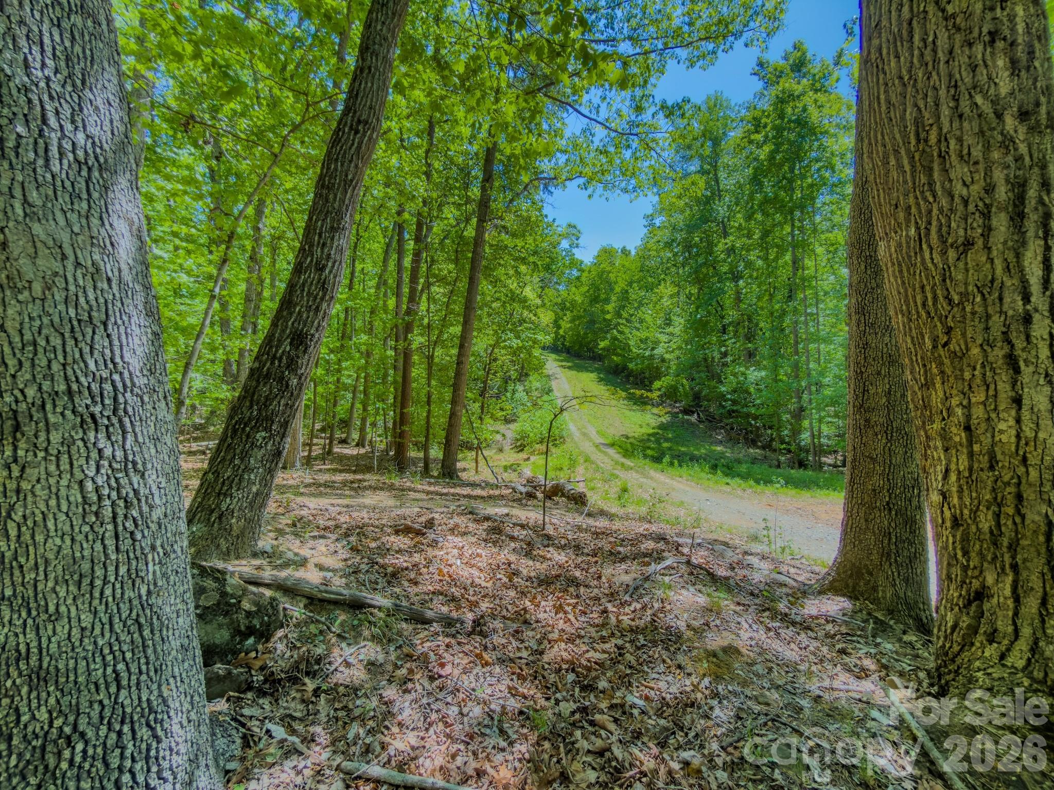 Properties | Kathy Shaffer, REALTOR® in Charlotte, NC 0 Sunset Drive N