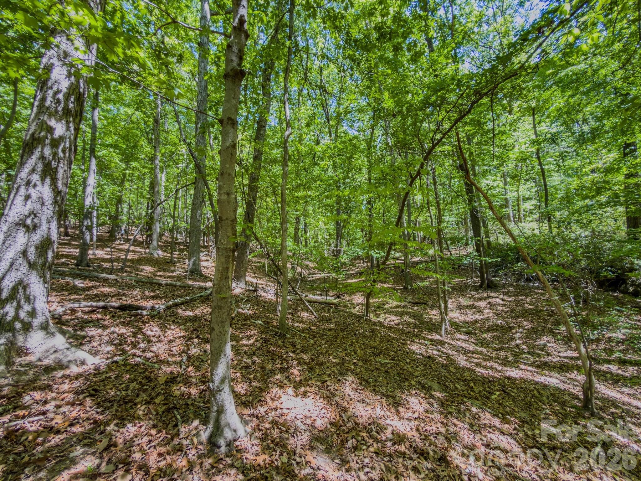 Properties | Kathy Shaffer, REALTOR® in Charlotte, NC 0 Sunset Drive N