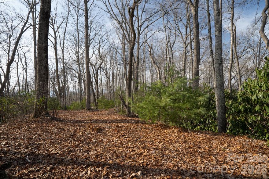 If you've been searching for the perfect place to put down roots in the mountains, this one is worth a close look. Lot 29 sits in Poplar Crest, an established and intentionally small community of just 40 lots spread across 80 wooded acres, a neighborhood that was designed to feel like the forest, not fight against it.  Valid Septic permit on file 
The lot itself is level and beautifully wooded, with native rhododendron, mountain laurel, and ferns already thriving underfoot. It's the kind of land that feels like it's been waiting for the right owner, someone who wants to build a home that fits naturally into its surroundings rather than imposing on them.
Community amenities are simple and perfectly suited to mountain living: peaceful ponds and a walking trail that invite you to slow down and enjoy what's right outside your door. And the location? Hard to beat. You're just 5 minutes from the charming town of Brevard and the same distance from the entrance to Pisgah National Forest, with DuPont State Forest only 15 minutes away. Whether you're a hiker, mountain biker, fly fisher, or just someone who loves having world-class outdoor recreation close at hand, this community delivers.
Beyond the trails and trees, the community sits a short distance from French Broad River access, ideal for paddling, fishing, or simply watching the river roll by. And looking ahead, the approved Ecusta Trail will soon connect Brevard to Hendersonville right through this corridor, making non-motorized access to both towns a genuine possibility for residents.
Opportunities like this, in an established neighborhood, with this much natural character, at this price point, don't come around often in Western North Carolina.