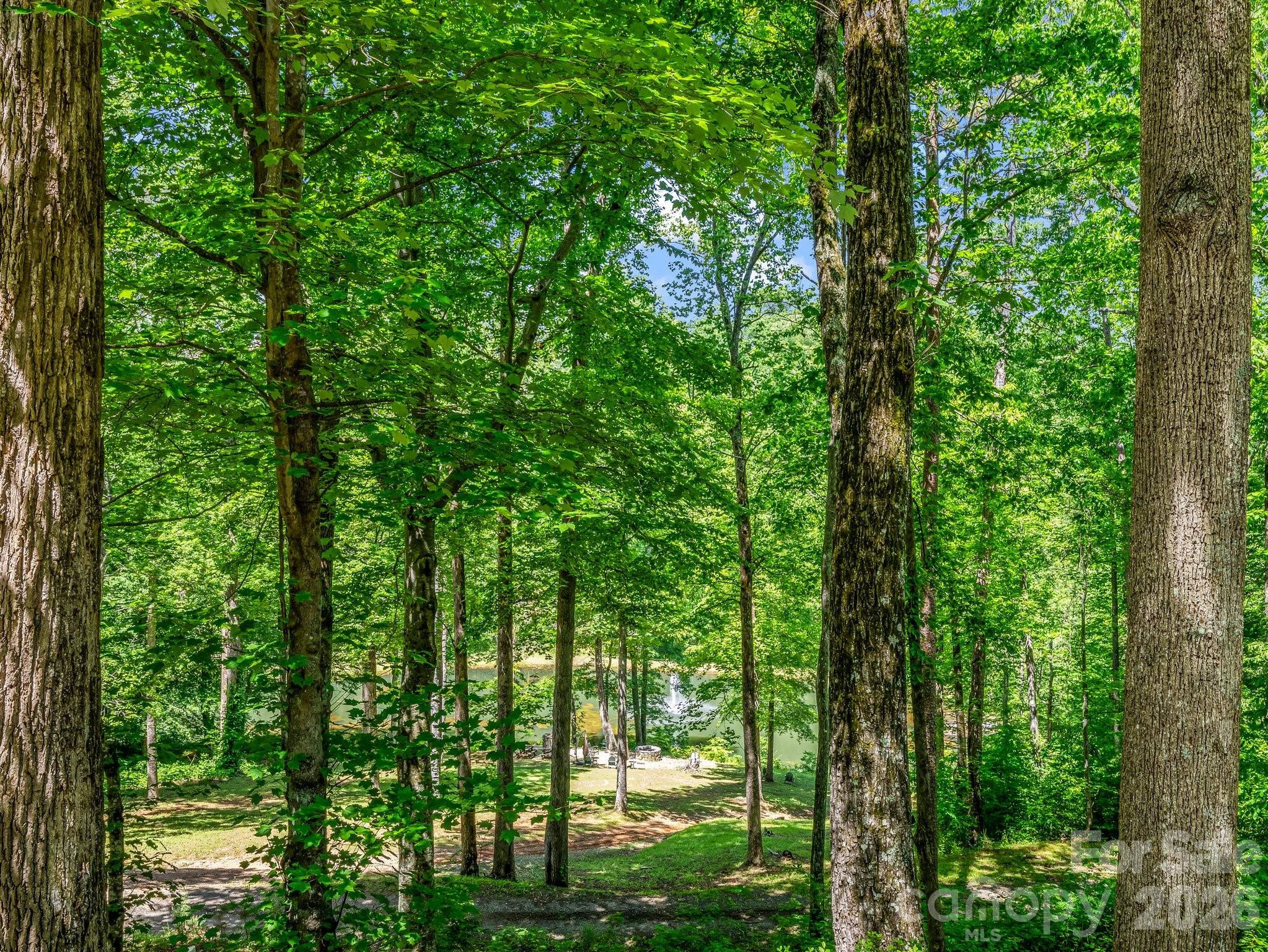 Cane Creek Mountain - Residential