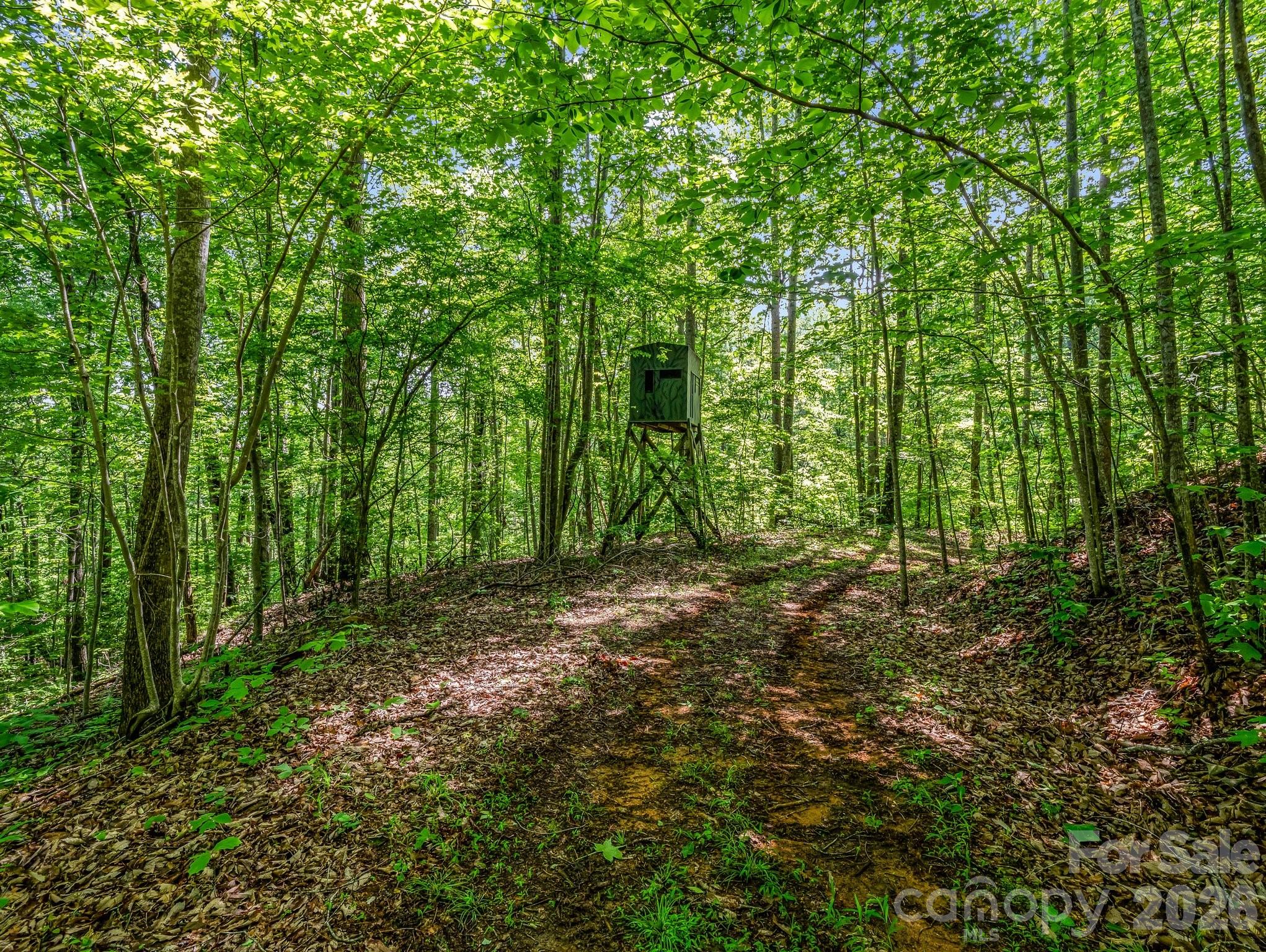 Cane Creek Mountain - Residential