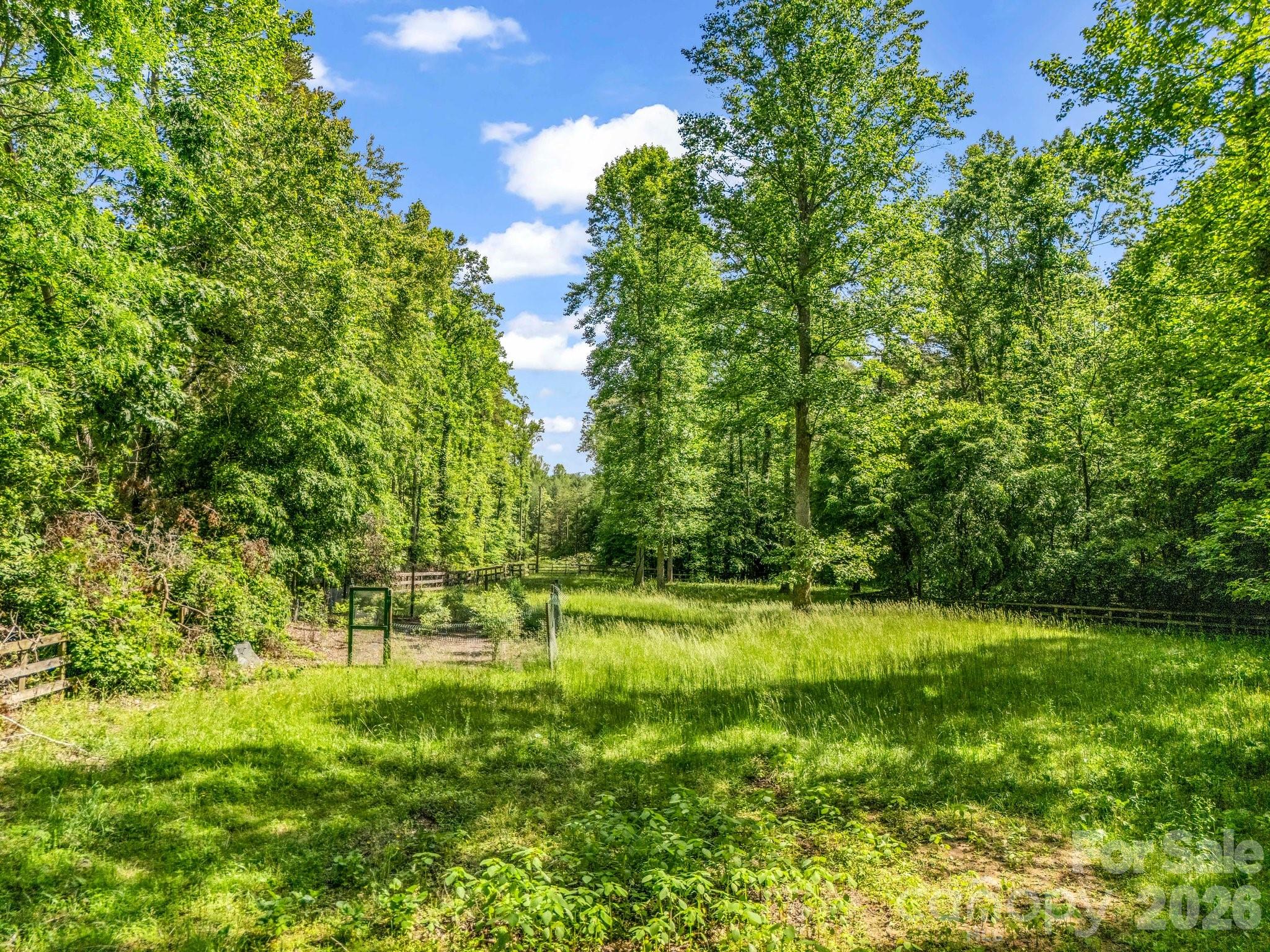 Cane Creek Mountain - Residential