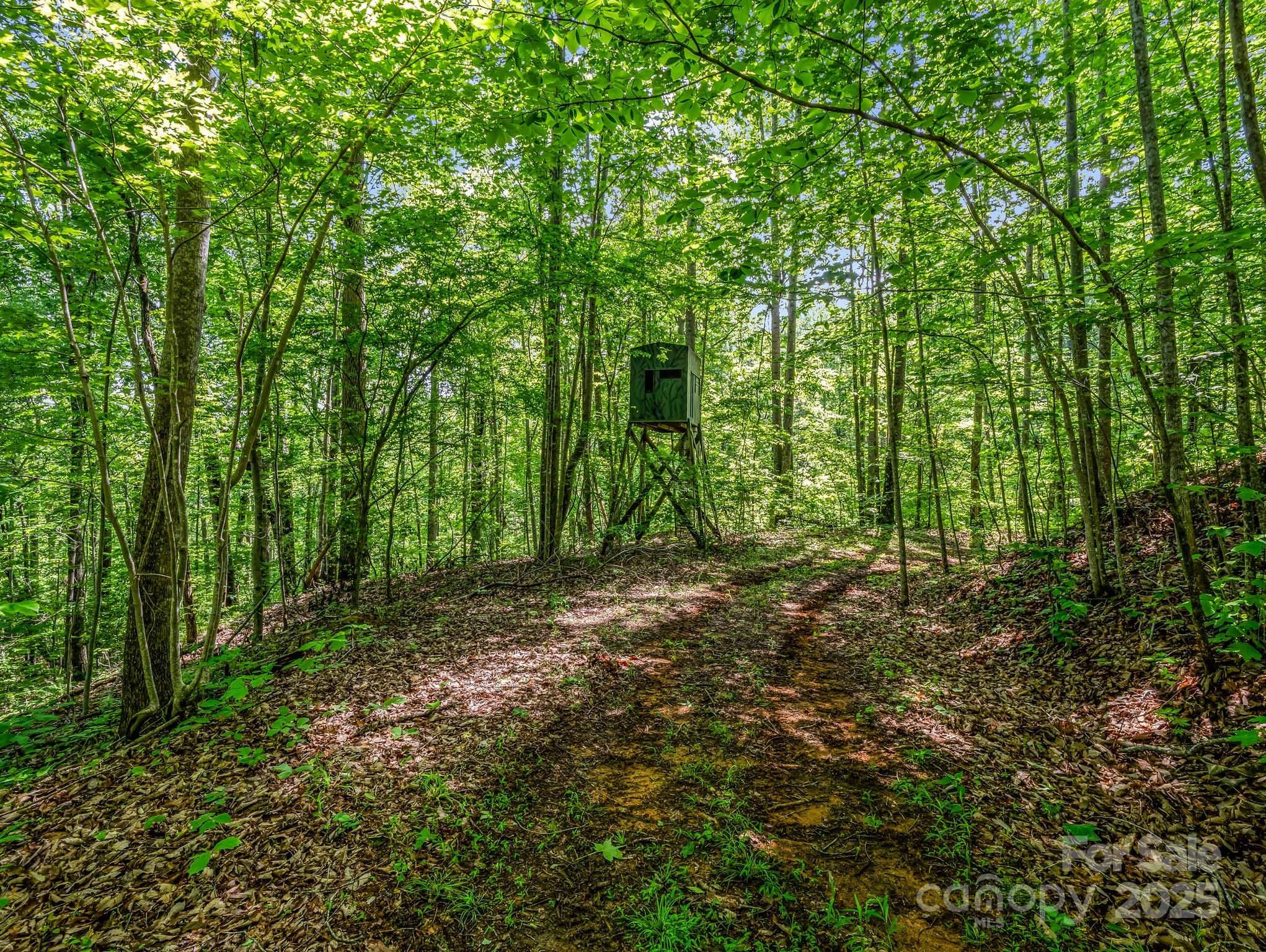 Cane Creek Mountain - Residential
