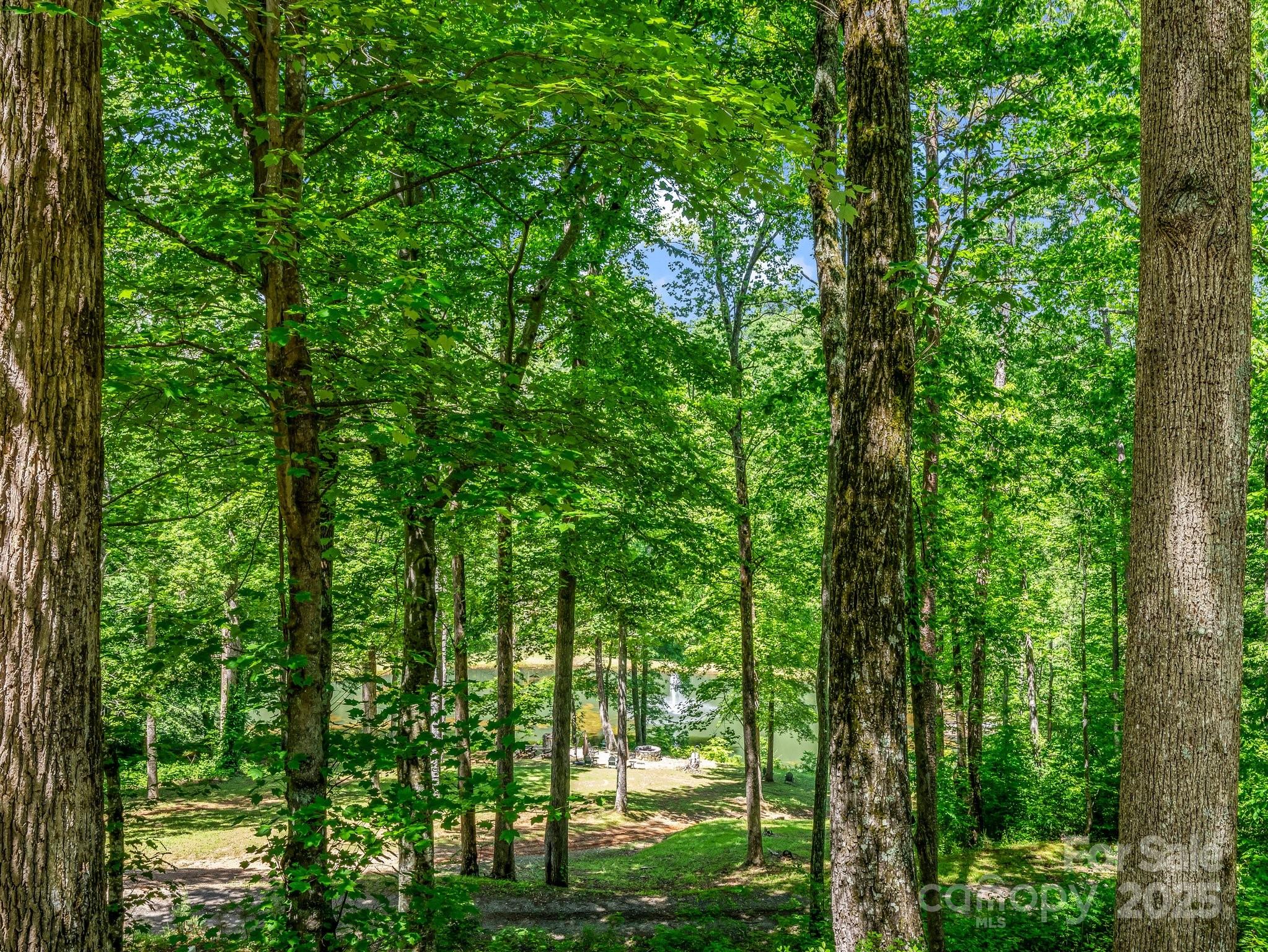 Cane Creek Mountain - Residential