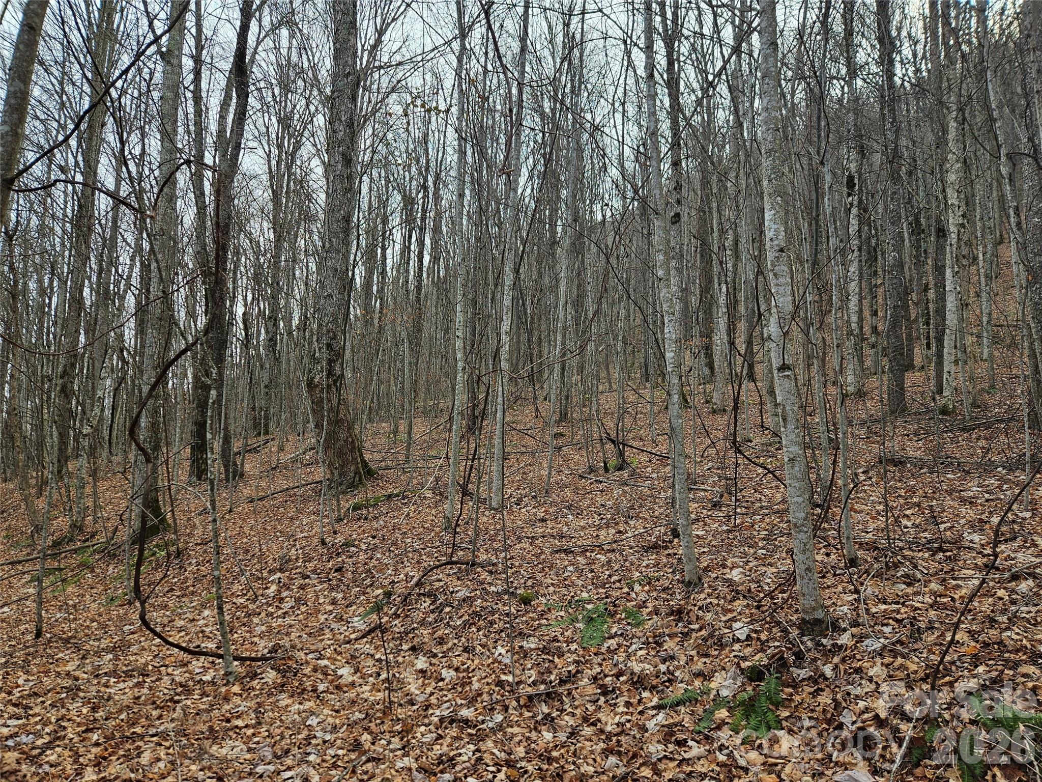 000 Slippery Rock Lane