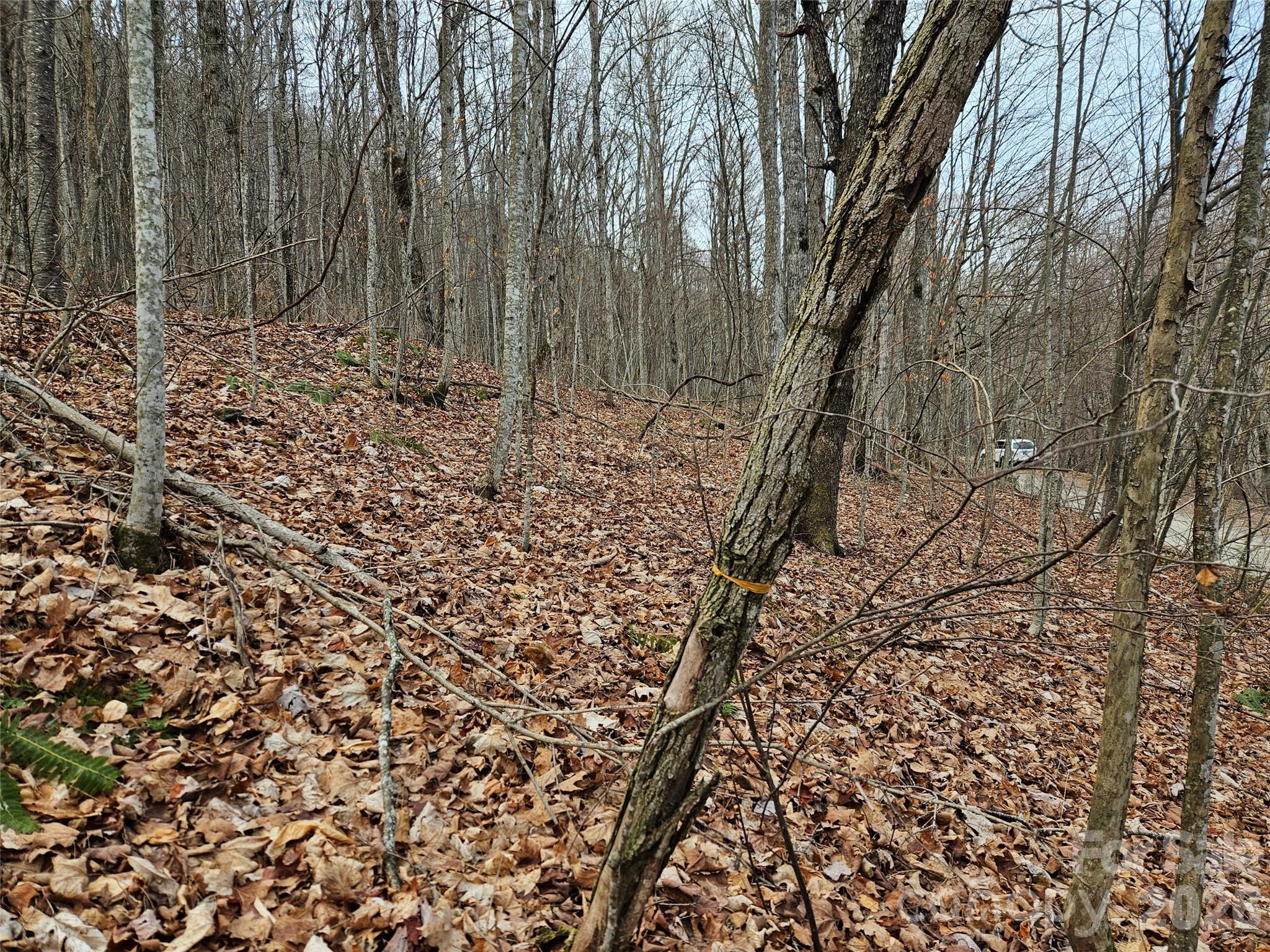 000 Slippery Rock Lane